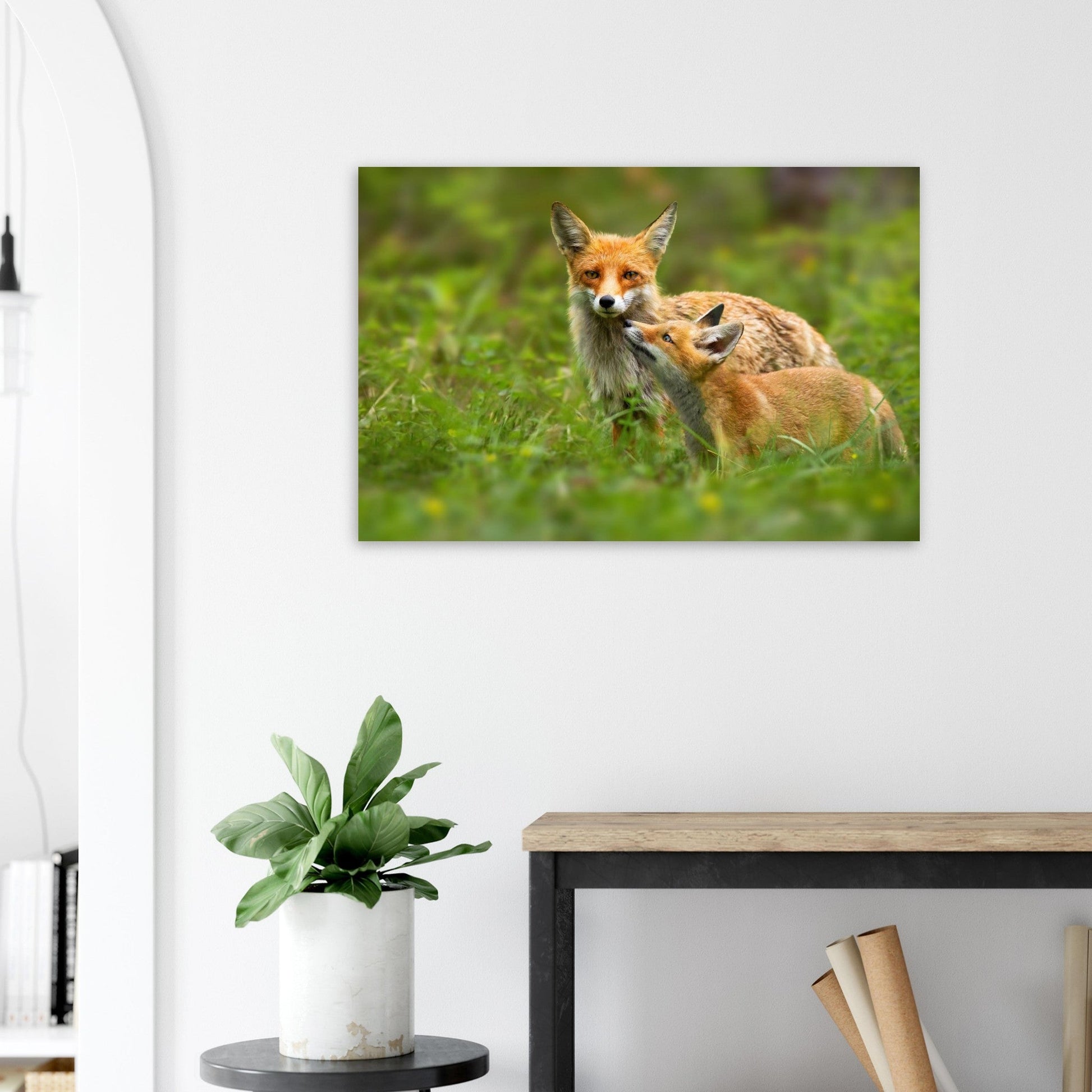 Photo de deux renards roux dans un moment de tendresse — tableau photo paysage de montagne en Alu Dibond, fabrication française