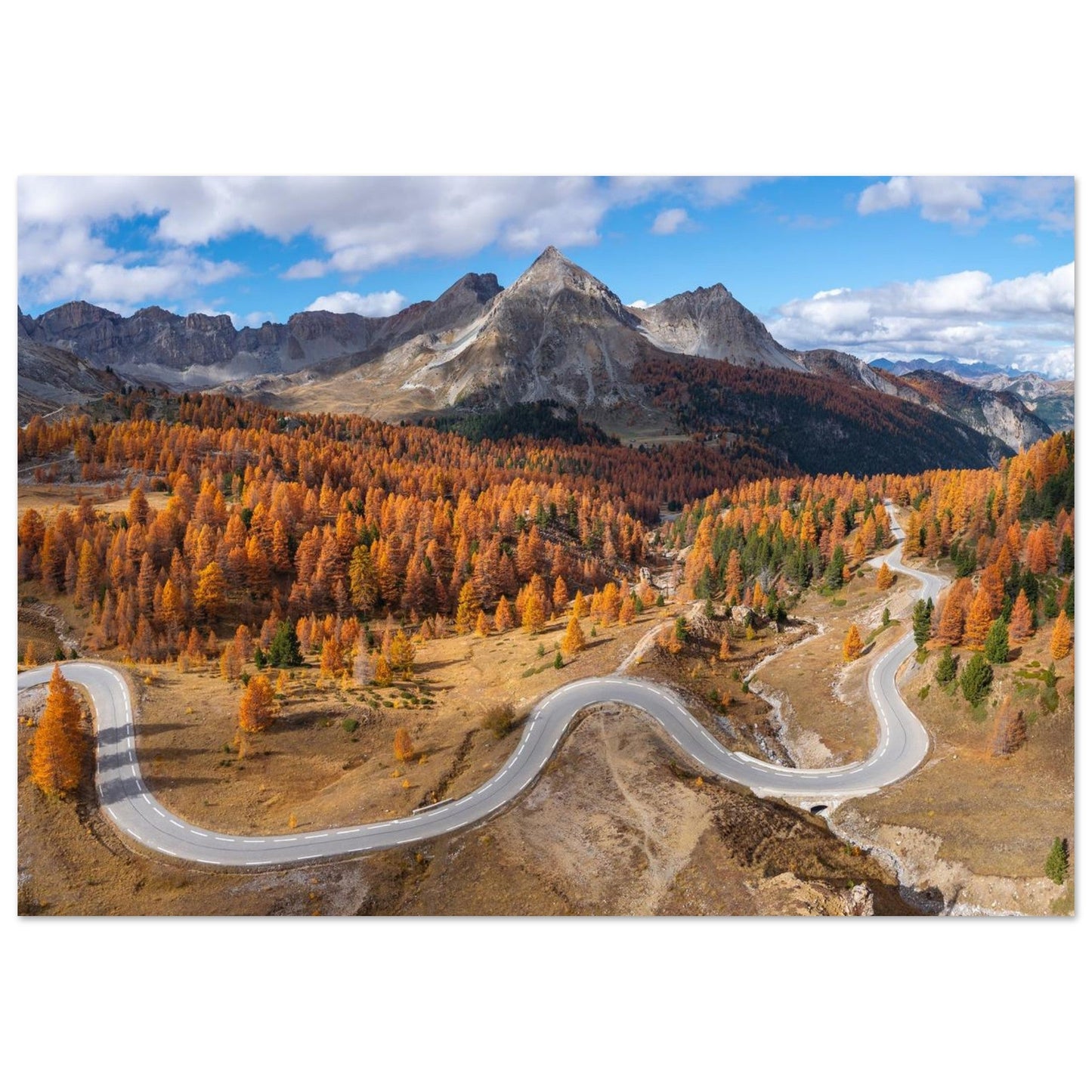 Tableau photo en Alu Dibond : La Route du col d’Izoard dans les mélèzes d’automne