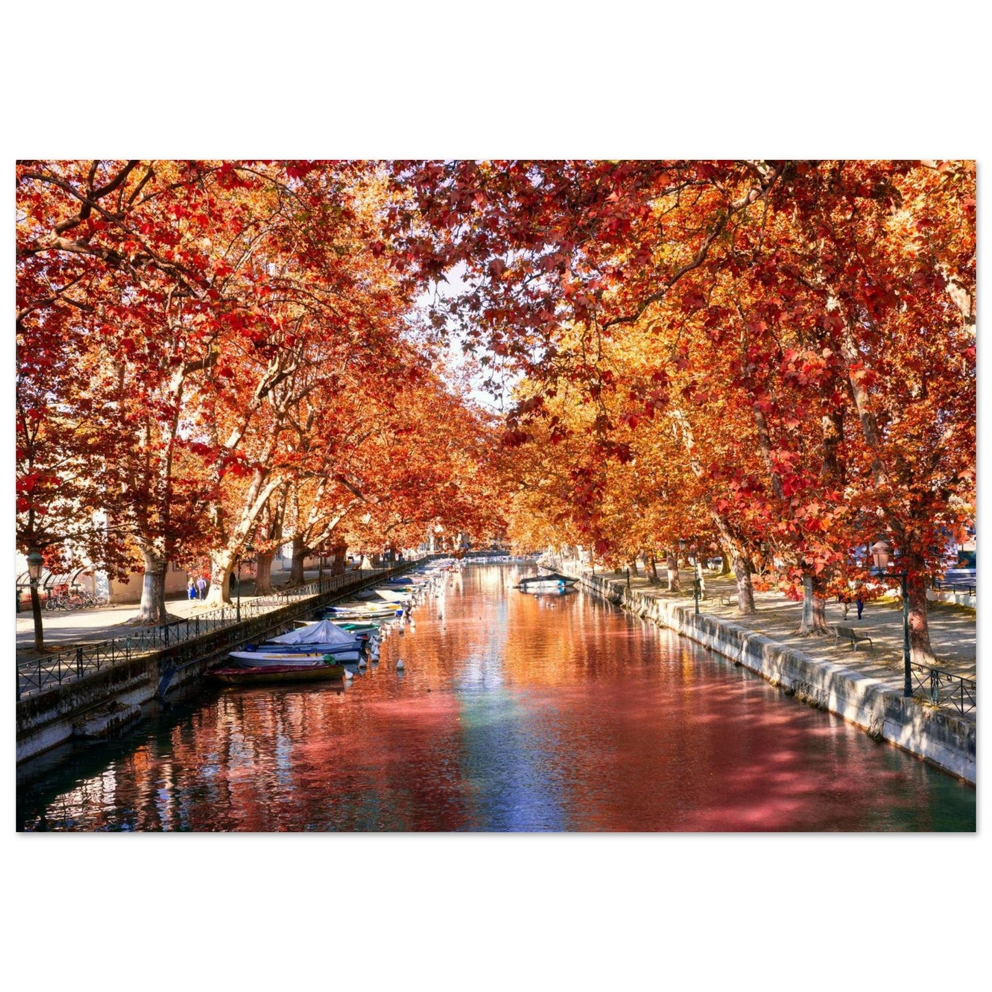 Photo of the Vassé Canal in Annecy in autumn — photo print on matte aluminium Dibond