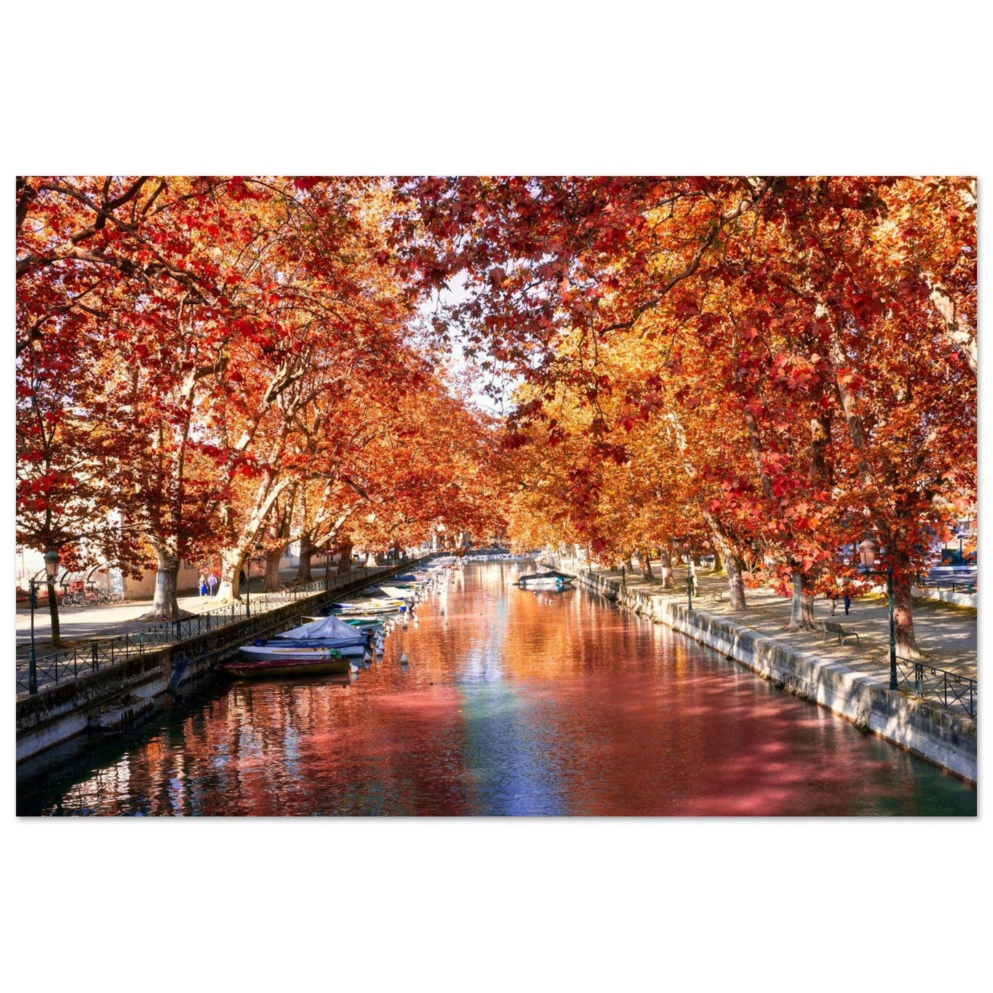 Photo of the Vassé Canal in Annecy in autumn — photo print on matte aluminium Dibond