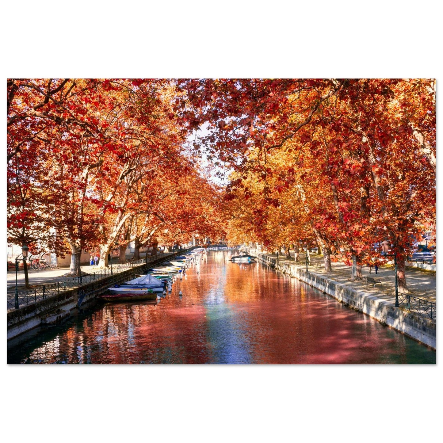 Photo of the Vassé Canal in Annecy in autumn — photo print on matte aluminium Dibond
