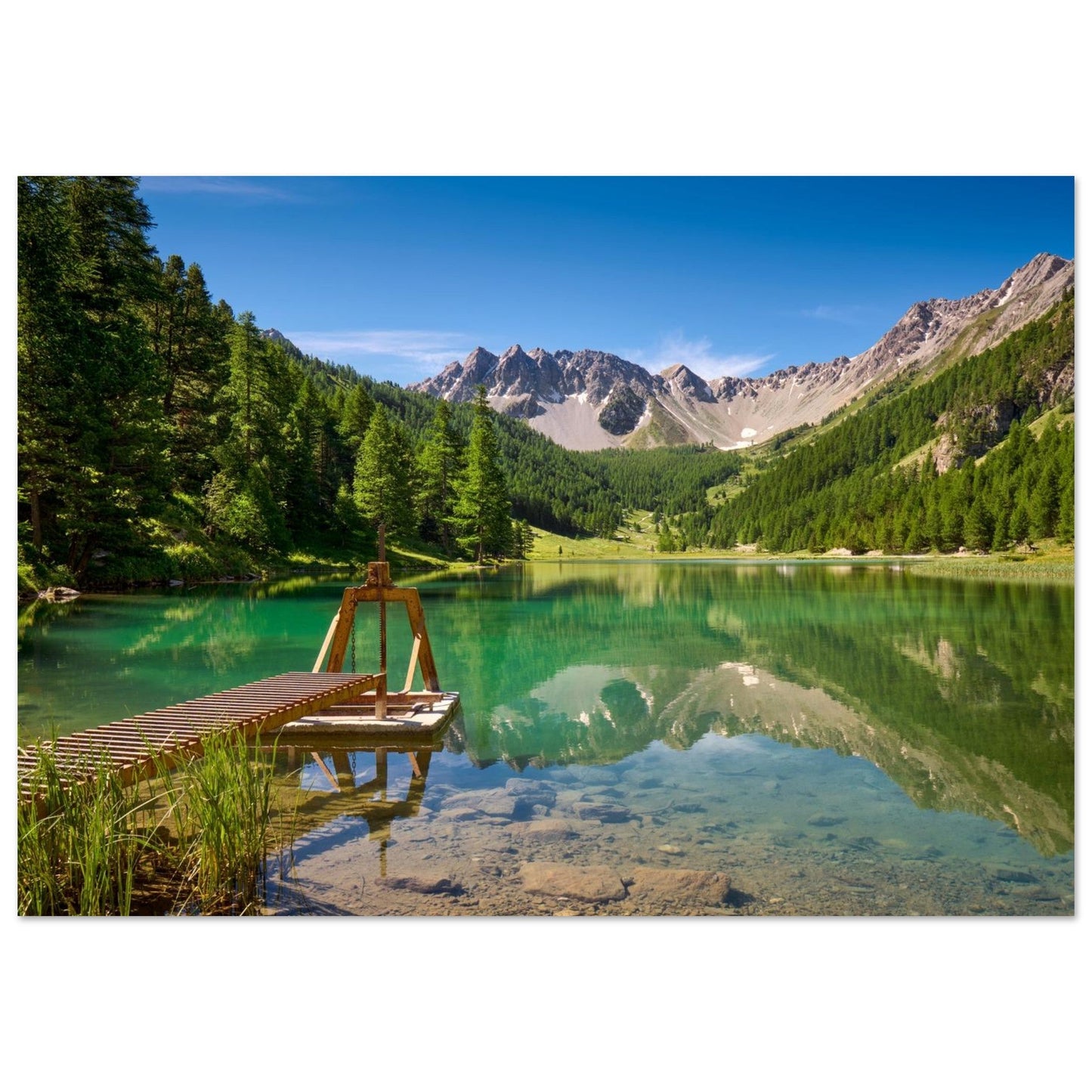 Photo du lac de l’Orceyrette et de sa forêt de mélèzes en été — tableau photo paysage de montagne en Alu Dibond