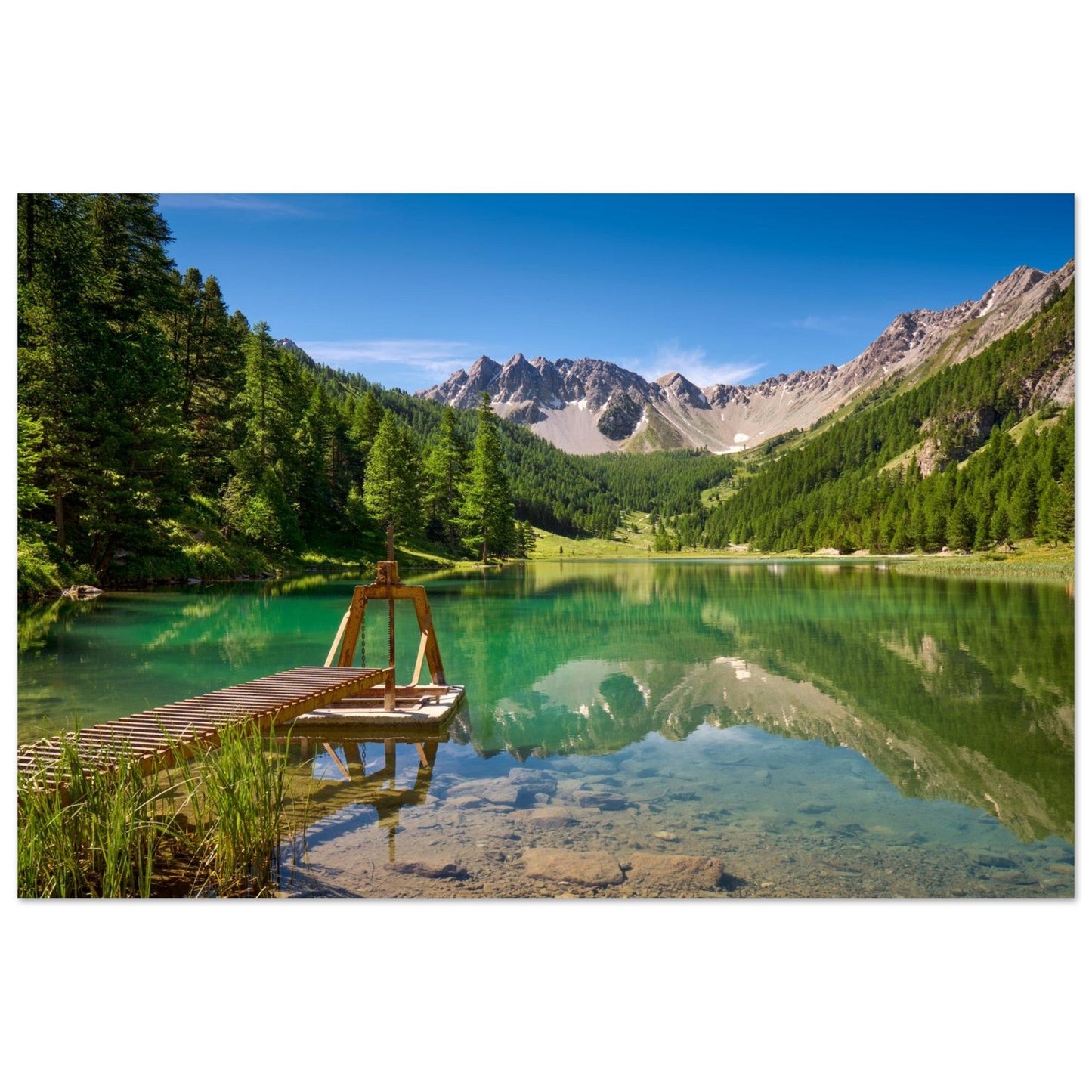 Photo du lac de l’Orceyrette et de sa forêt de mélèzes en été — tableau photo paysage de montagne en Alu Dibond