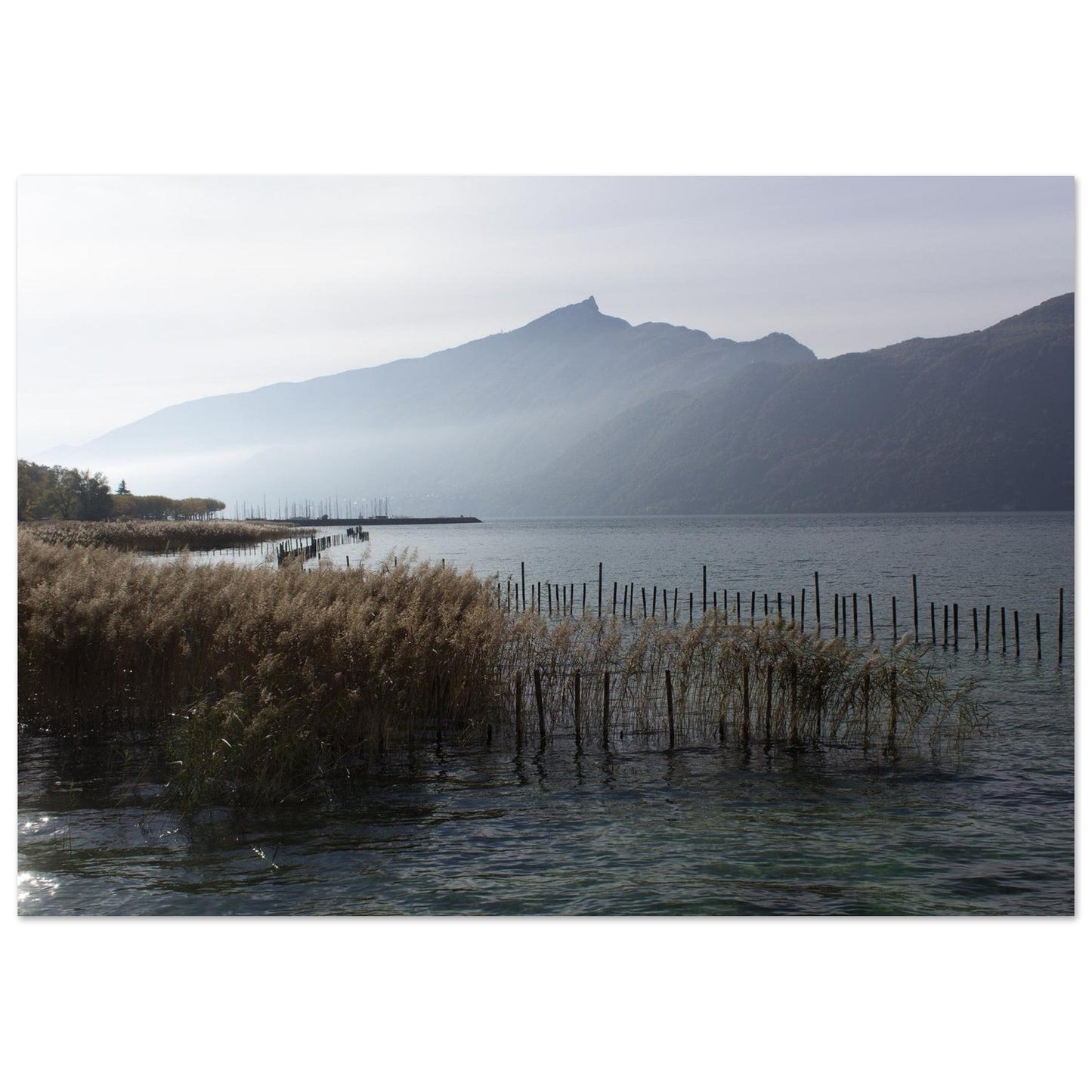 Tableau photo du lac du Bourget face à la Dent du Chat sur aluminium Dibond mat, format 70 × 100 cm