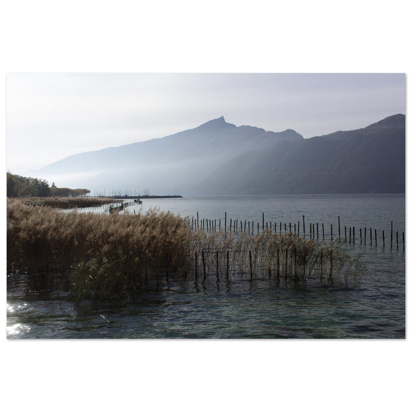 Tableau photo du lac du Bourget face à la Dent du Chat sur aluminium Dibond mat, format 50 × 75 cm