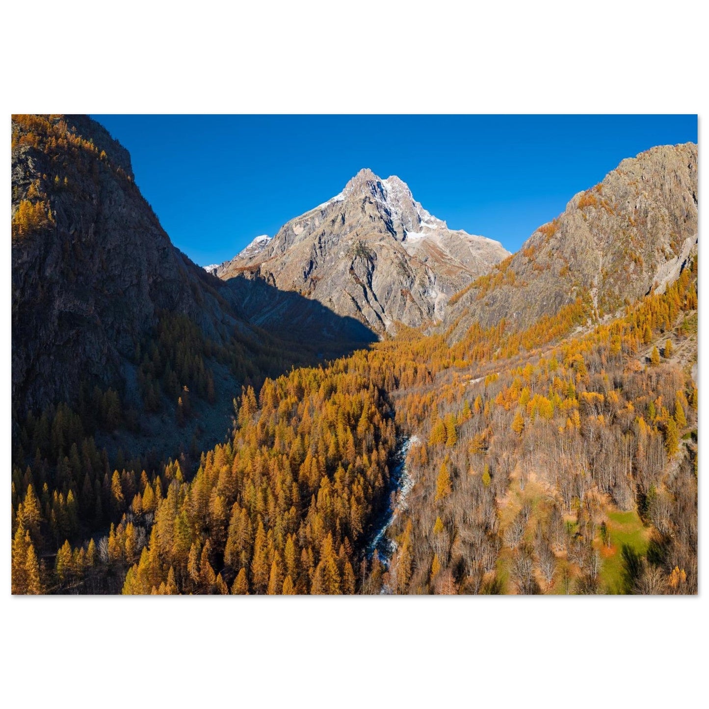 Tableau photo du Mont Pelvoux et mélèzes dorés dans les Écrins sur aluminium Dibond mat, format 70 × 100 cm