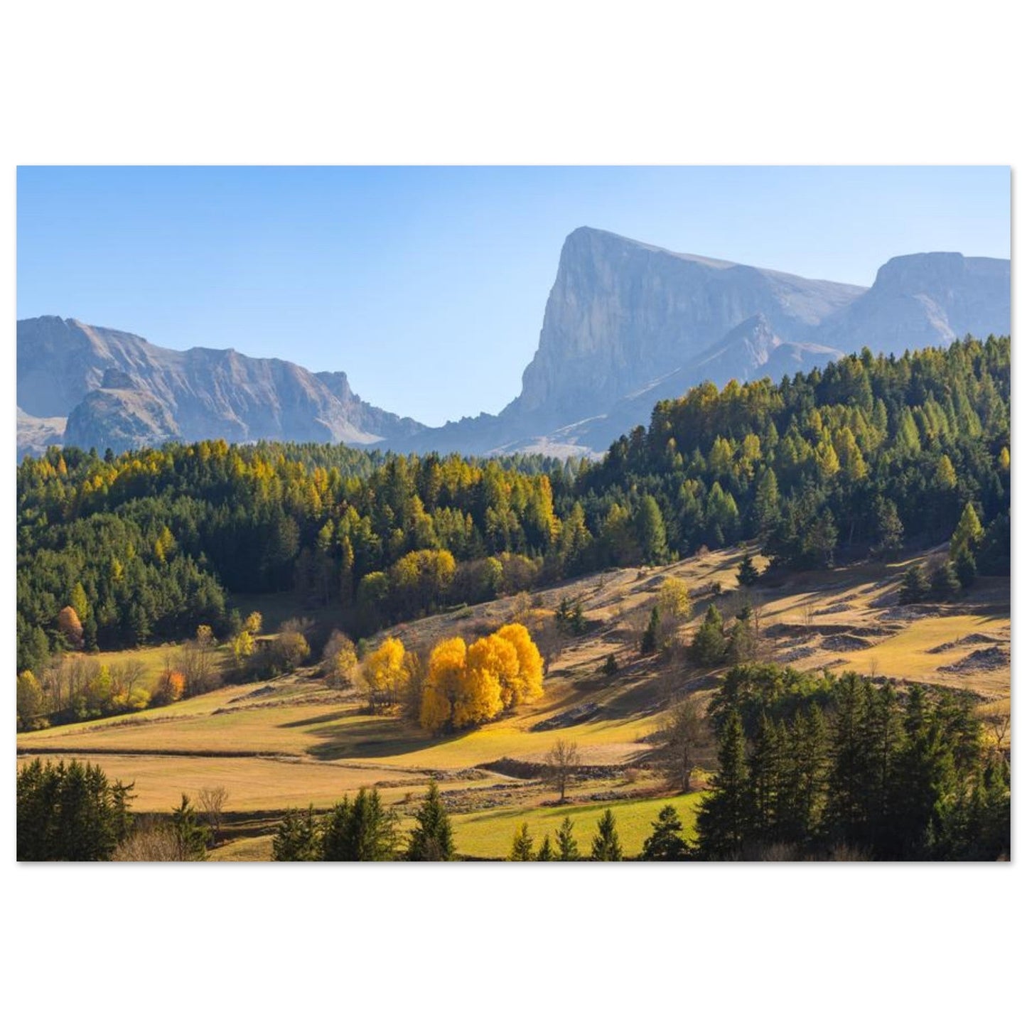 Photo du pic de Bure en automne dans le massif du Dévoluy — tableau photo paysage de montagne en Alu Dibond