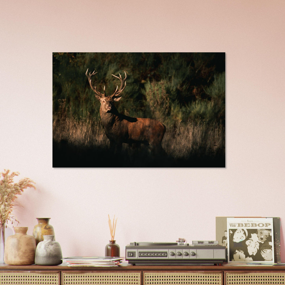 Tableau photo d’un cerf élaphe dans la lumière du soir sur aluminium Dibond mat — photographie : Alexandre Nilles