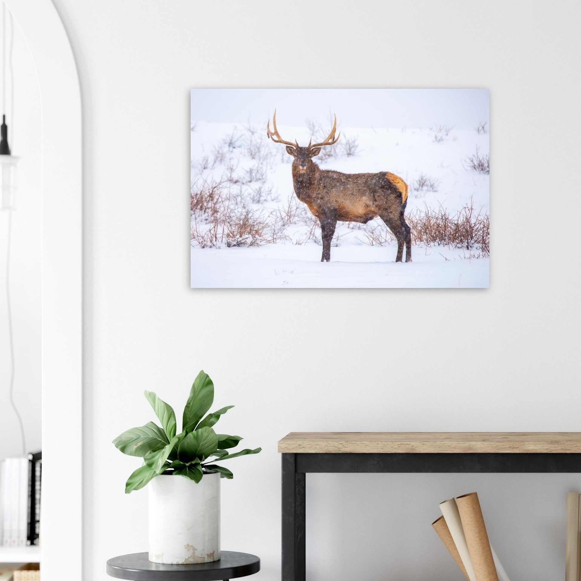 Photo d’un cerf sous la neige — tableau photo paysage de montagne en Alu Dibond, fabrication française