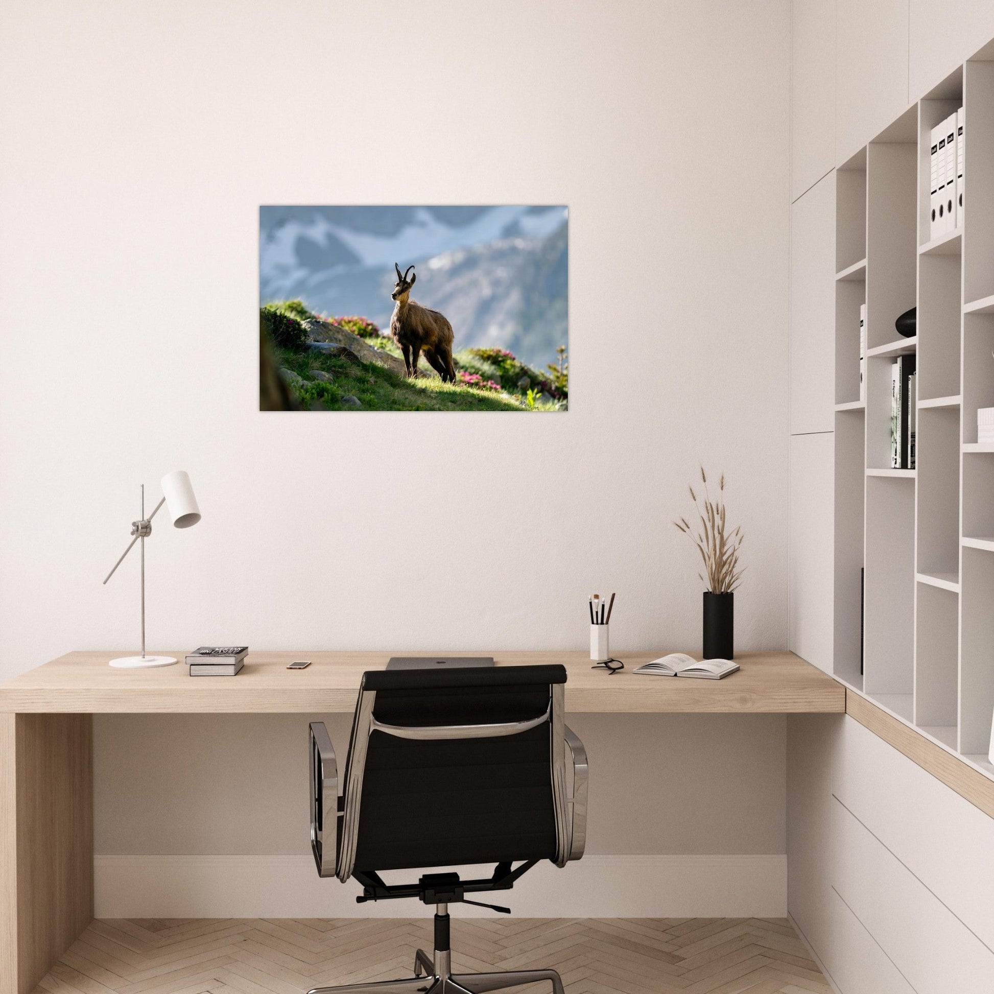 Photo d’un chamois au printemps dans le Mercantour — tableau photo paysage de montagne en Alu Dibond