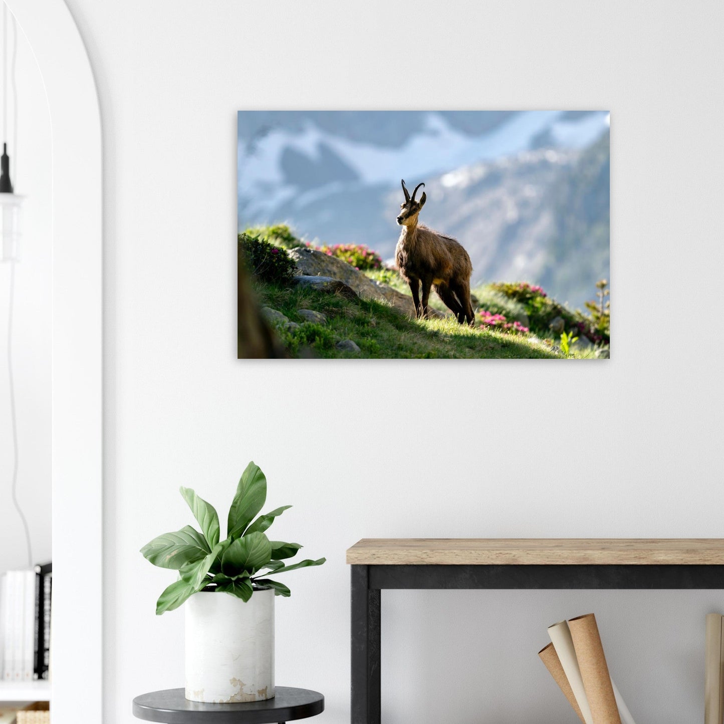 Photo d’un chamois au printemps dans le Mercantour — tableau photo paysage de montagne en Alu Dibond