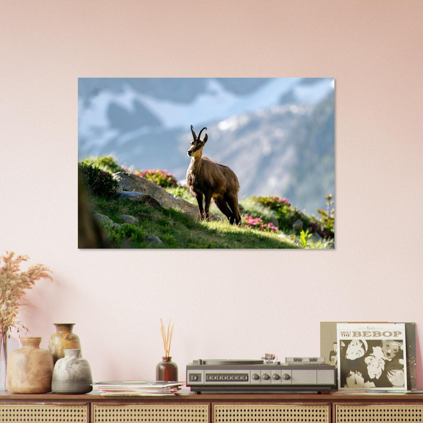 Photo d’un chamois au printemps dans le Mercantour — tableau photo paysage de montagne en Alu Dibond
