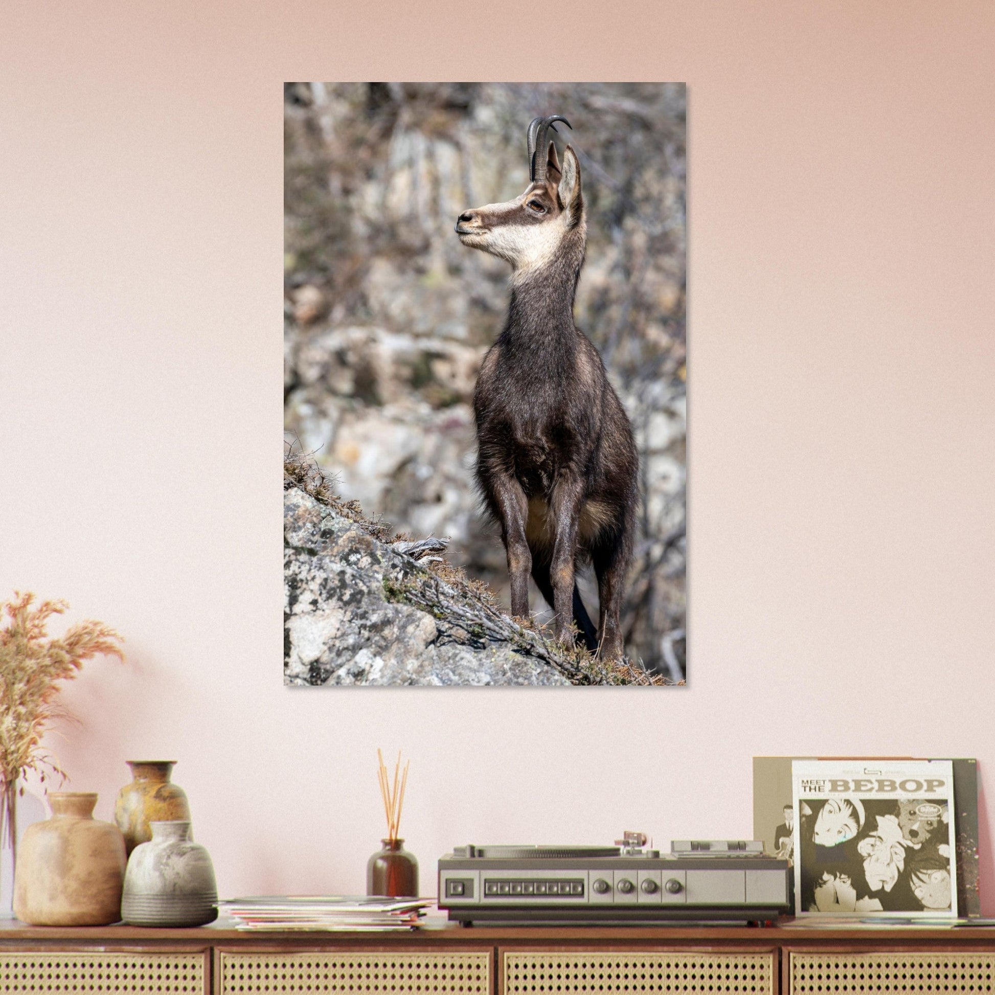Photo d’un chamois sauvage dans les Alpes françaises — tableau photo paysage de montagne en Alu Dibond