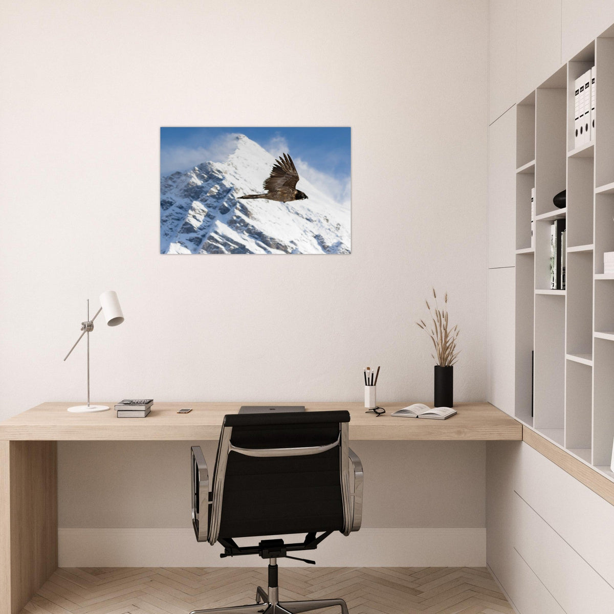 Photo of a young bearded vulture in the Vanoise sky — photo print on matte aluminium Dibond