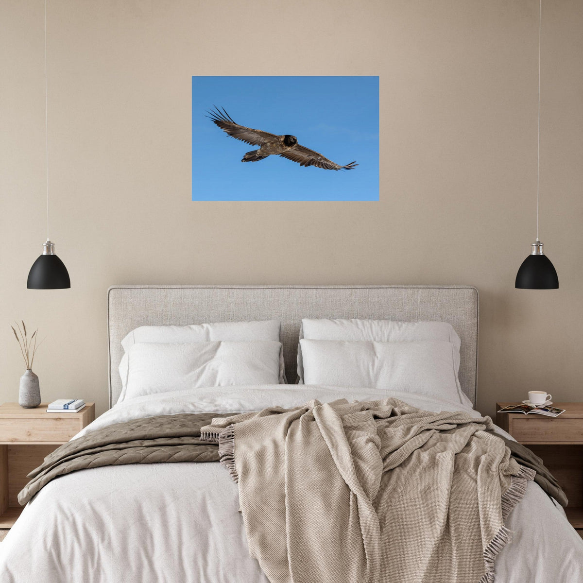 Photo of a young bearded vulture in flight in the Vanoise — photo print on matte aluminium Dibond
