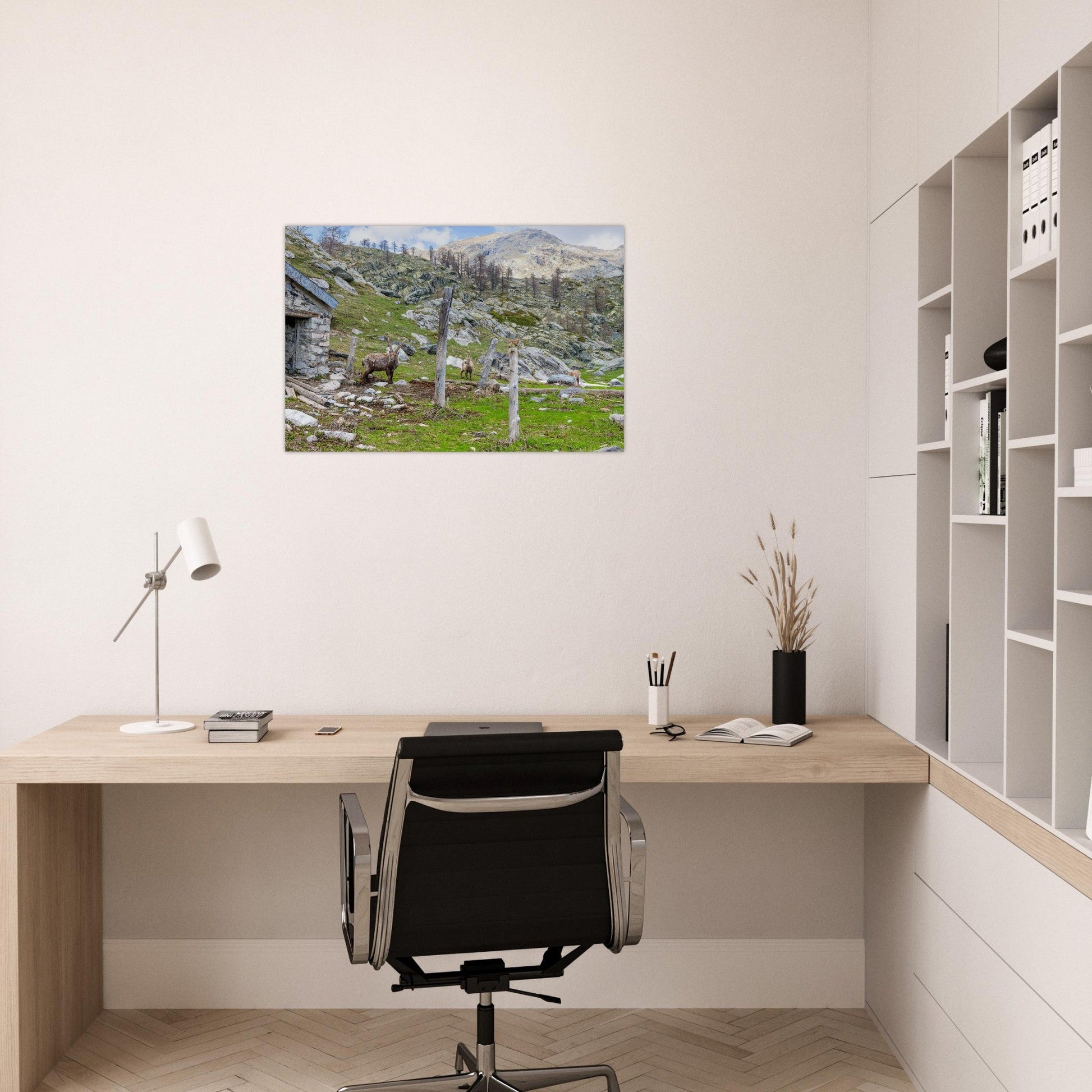 Tableau photo d’une famille de bouquetins dans la vallée de Fontanalba sur aluminium Dibond mat, exposé dans une chambre