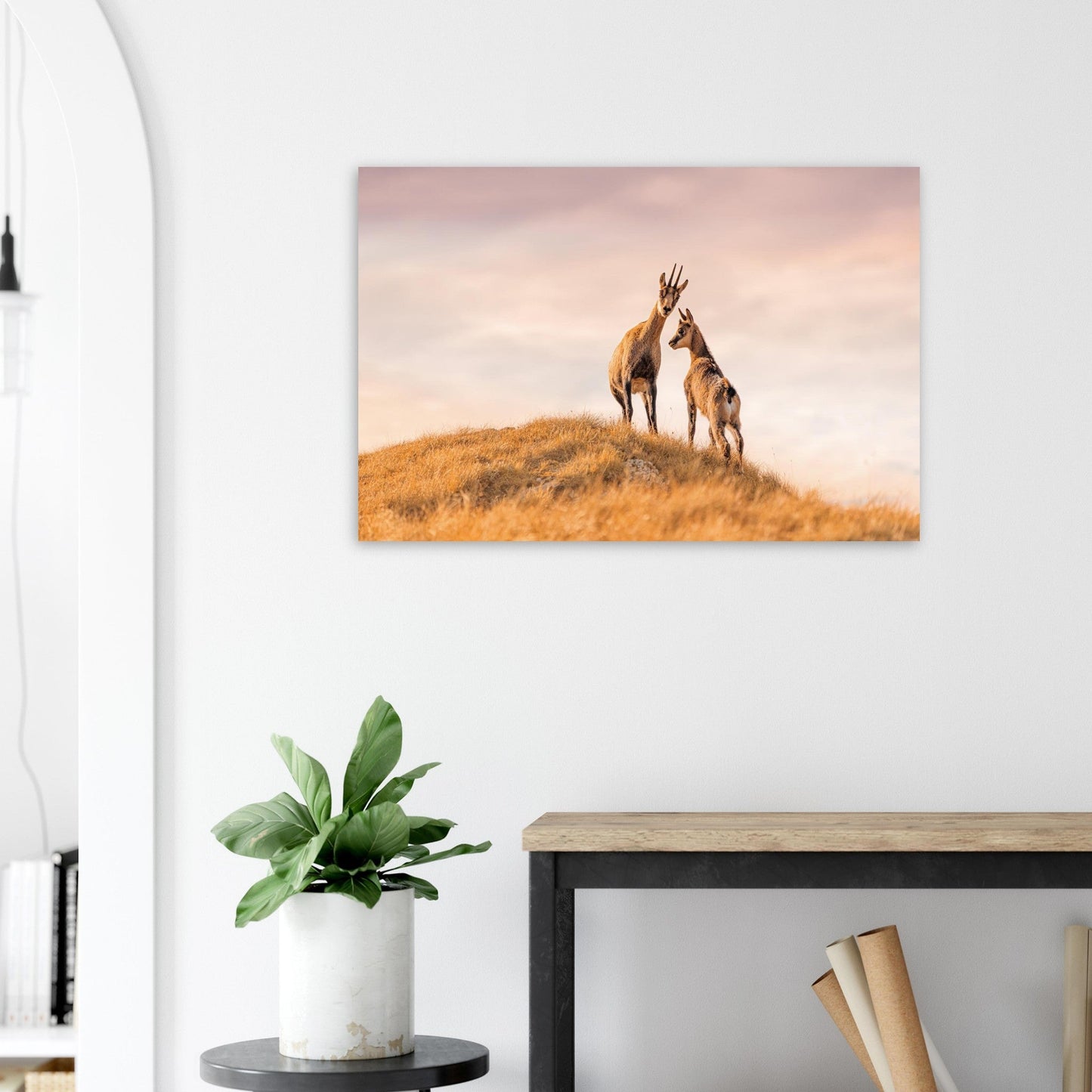 Photo d’une femelle chamois et de son petit dans les Hautes-Alpes — tableau photo paysage de montagne en Alu Dibond