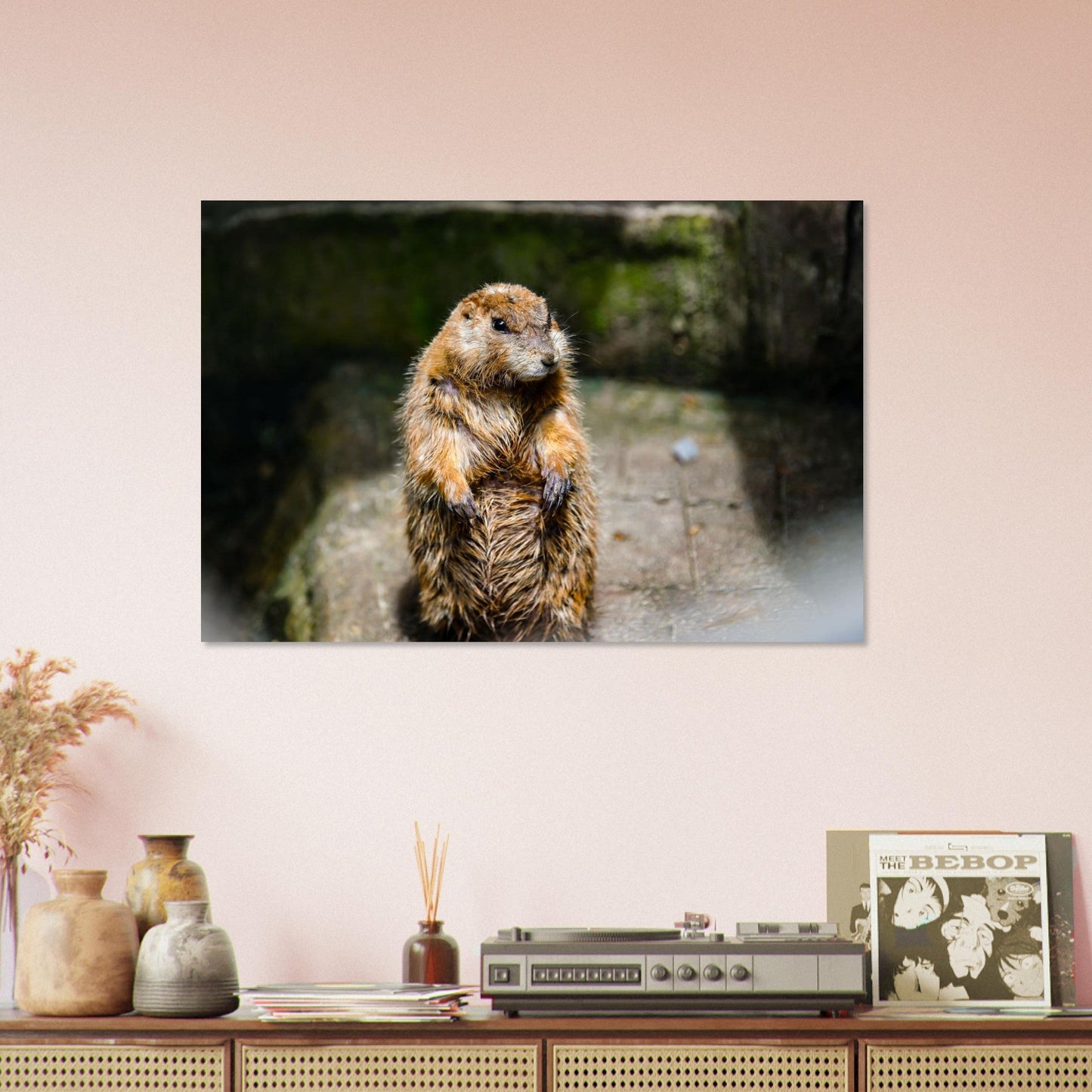 Photo d’une jeune marmotte des Alpes — tableau photo paysage de montagne en Alu Dibond, fabrication française