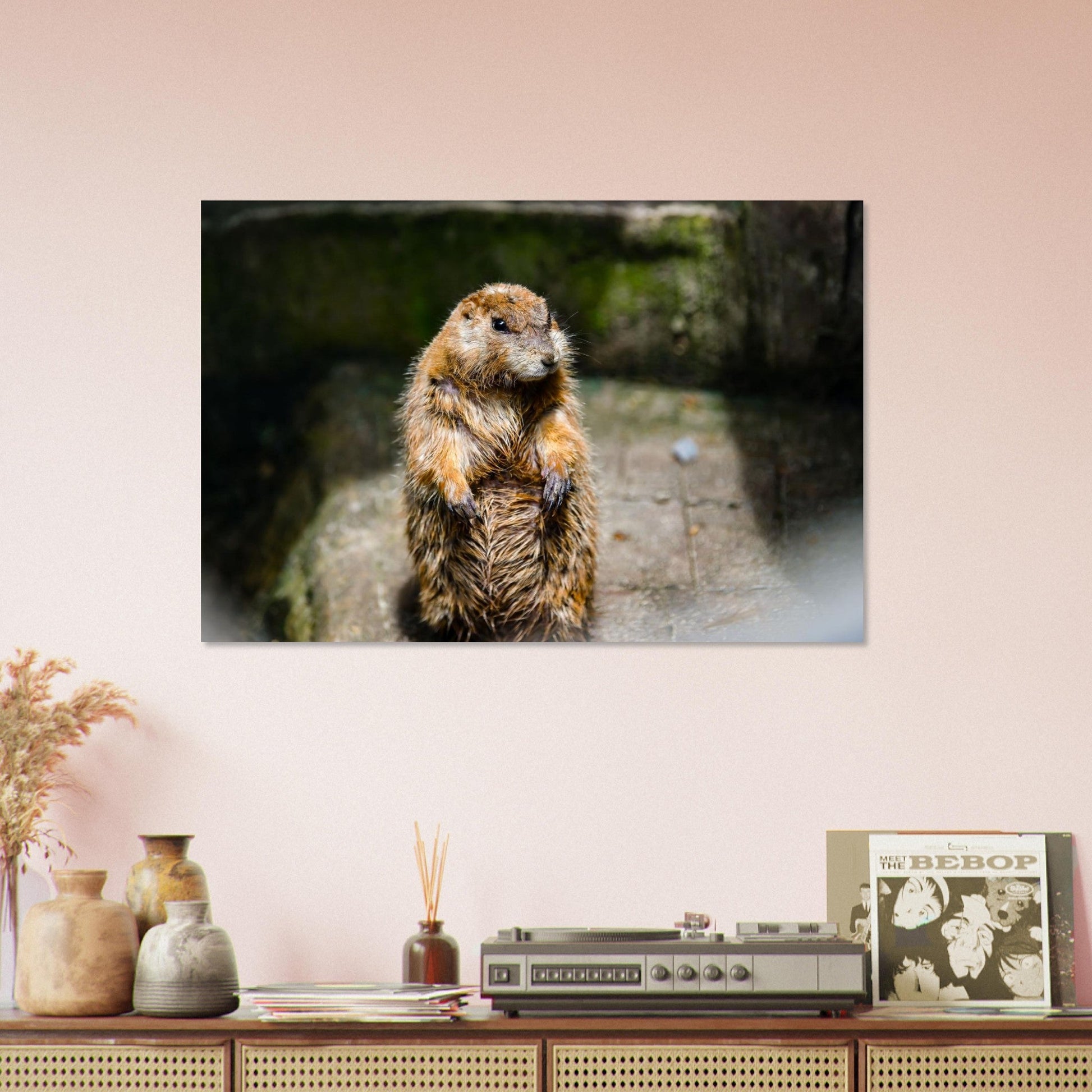 Photo d’une jeune marmotte des Alpes — tableau photo paysage de montagne en Alu Dibond, fabrication française