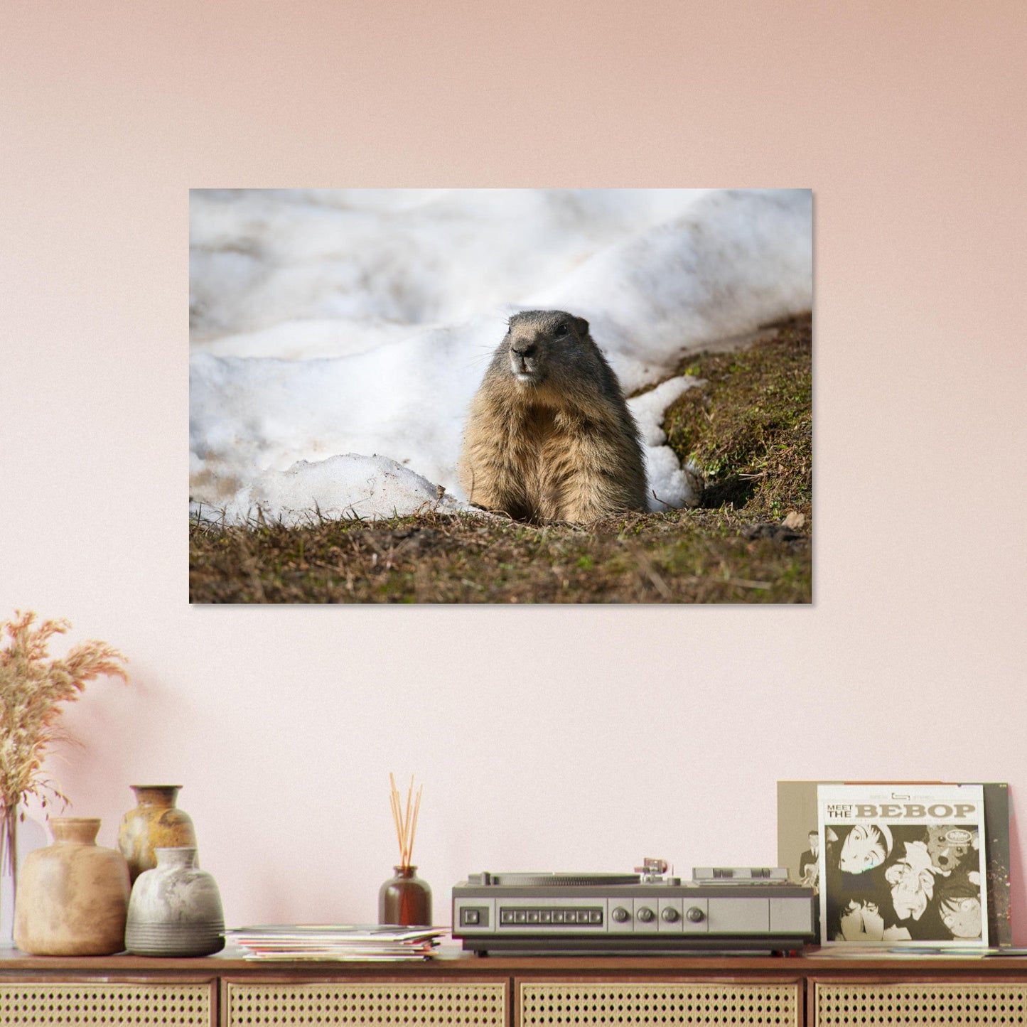 Photo d’une marmotte des Alpes à la fonte des neiges — tableau photo paysage de montagne en Alu Dibond, fabrication française