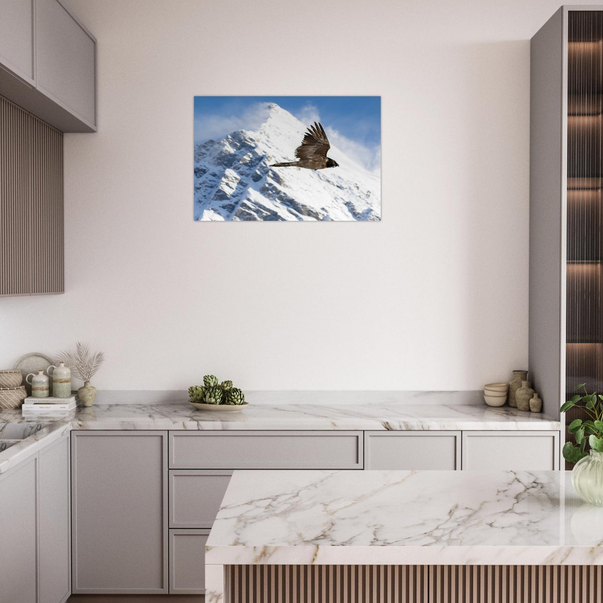 Photo d’un jeune gypaète barbu dans le ciel de la Vanoise — photo print on matte aluminium Dibond