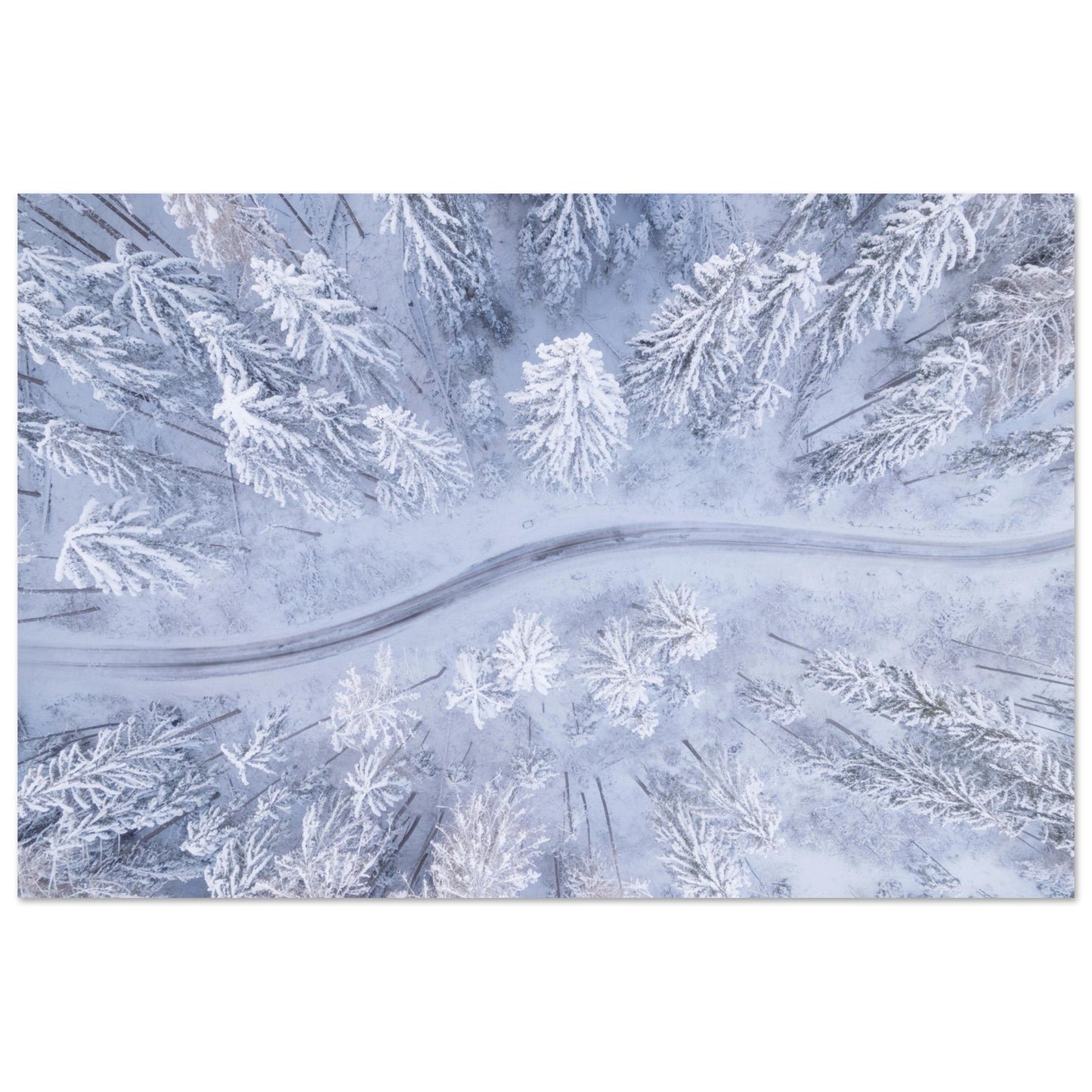 Tableau photo Photo drone de sapins & route enneigés — tirage aluminium Dibond mat, fabrication française, prêt à accrocher