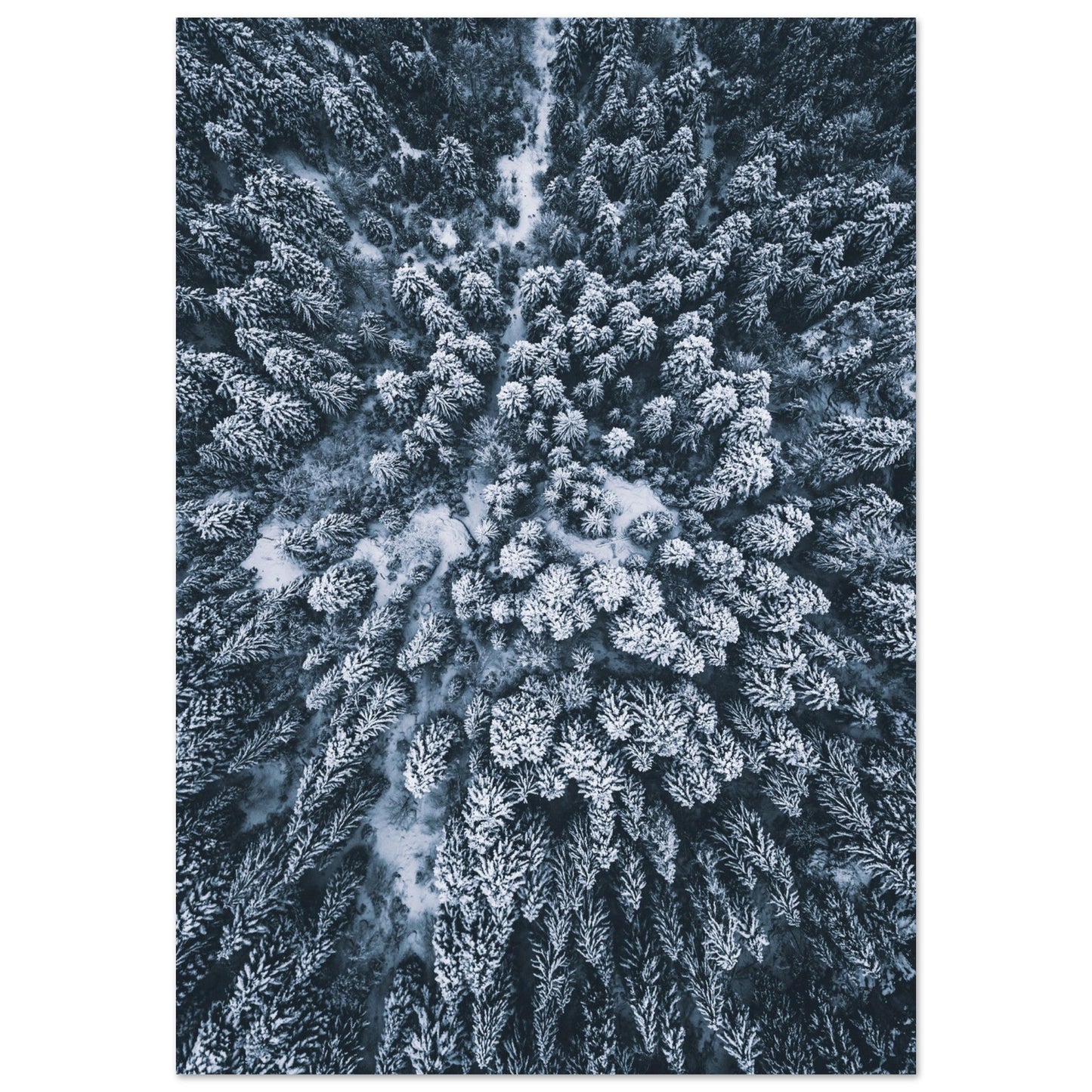 Tableau photo Photo de Sapins enneigés — vue drone (Alpes) — tirage aluminium Dibond mat, fabrication française, prêt à accrocher