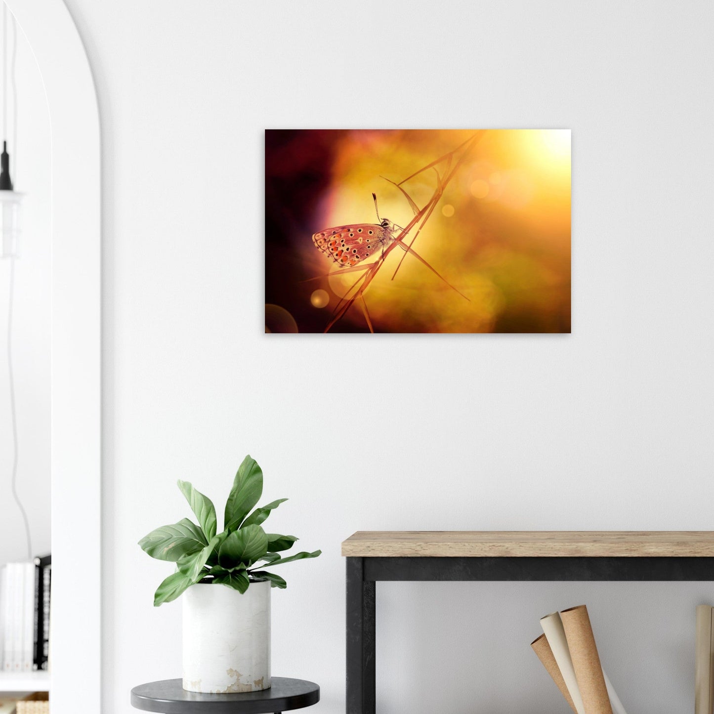 Vente Photo de papillon dans les Alpes #1 - Tableau photo paysage