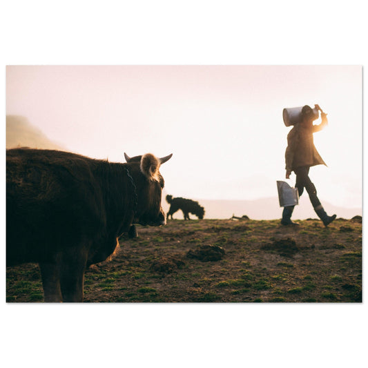 Vente Photo de vaches en Savoie #4 - Tableau photo paysage