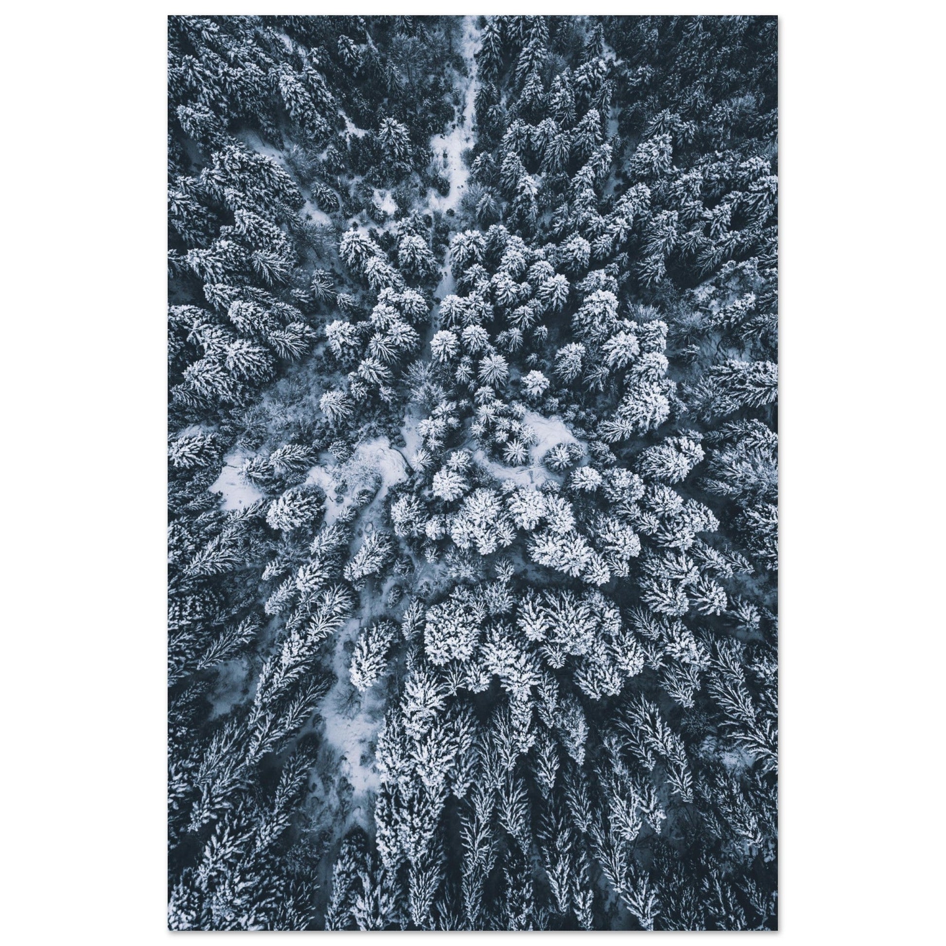 Tableau photo Photo de Sapins enneigés — vue drone (Alpes) — tirage aluminium Dibond mat, fabrication française, prêt à accrocher