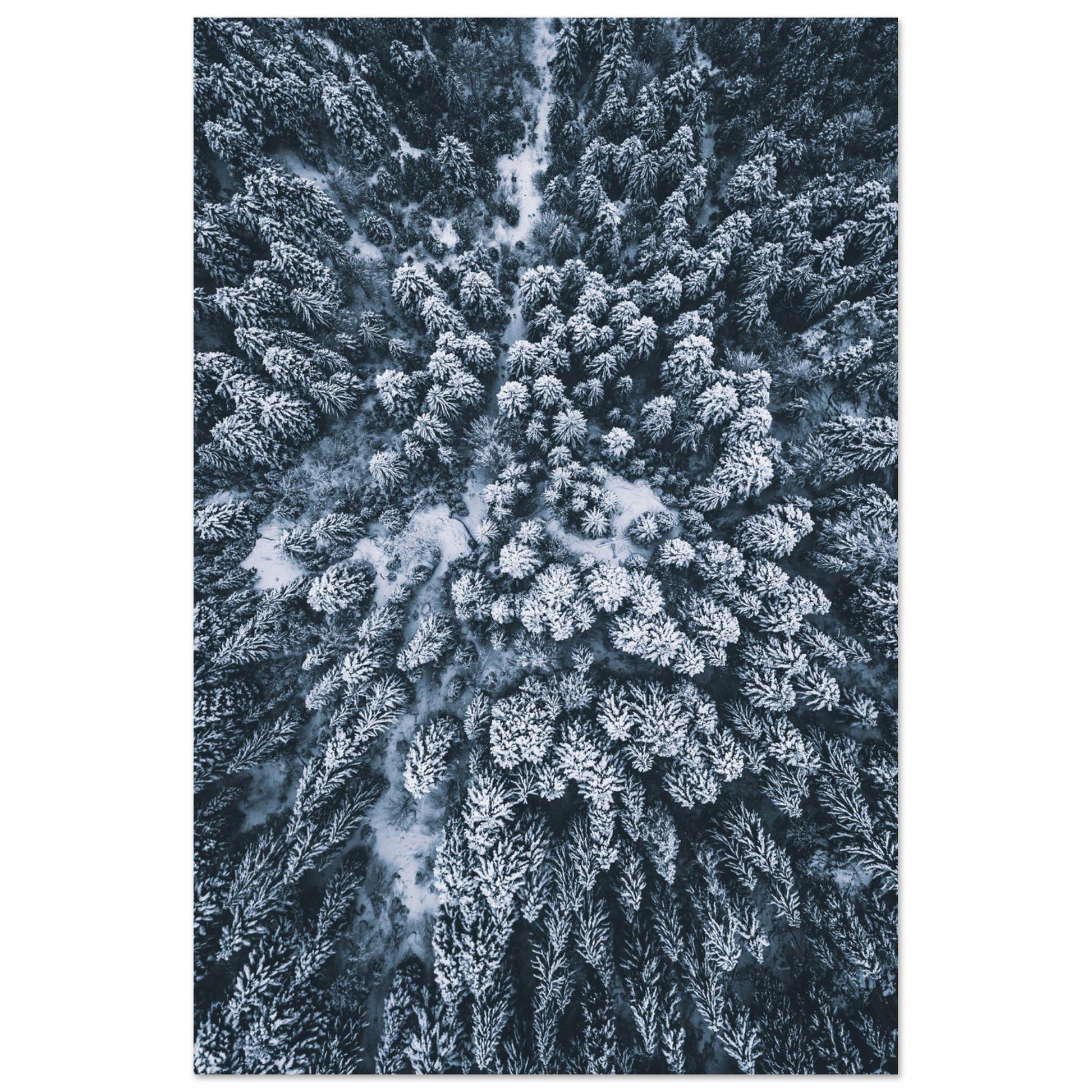 Tableau photo Photo de Sapins enneigés — vue drone (Alpes) — tirage aluminium Dibond mat, fabrication française, prêt à accrocher