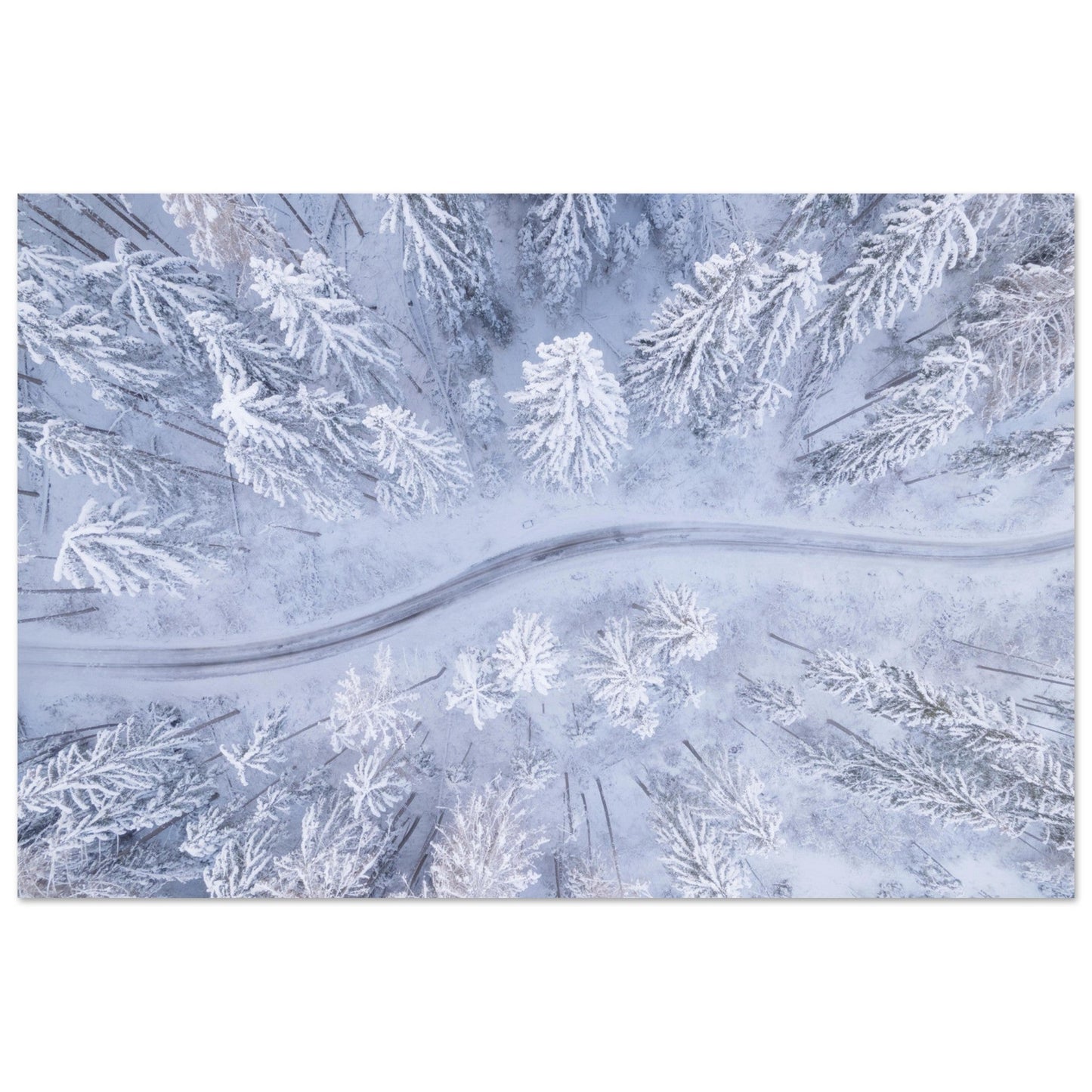 Vente Photo drone de sapins et route enneigés - Tableau photo alu montagne