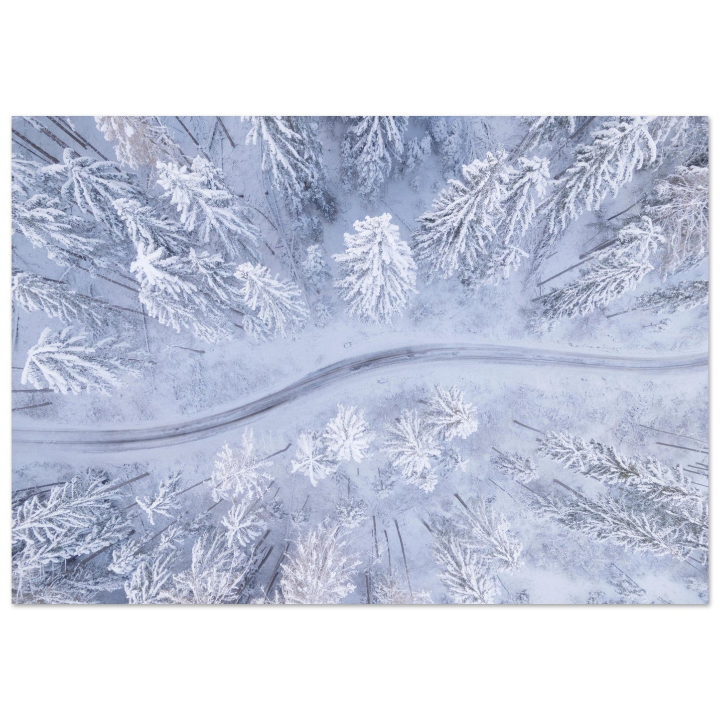 Vente Photo drone de sapins et route enneigés - Tableau photo alu montagne