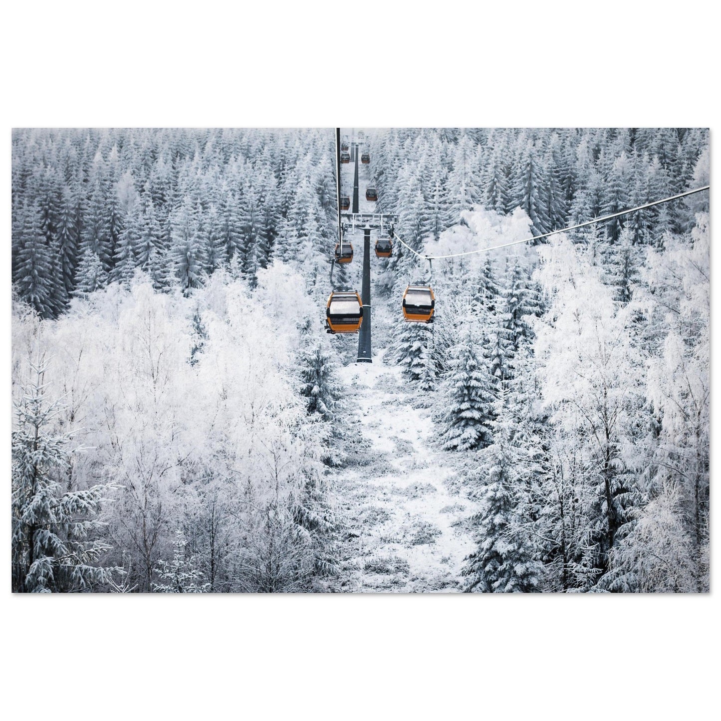 Vente Photo télécabines rouge au milieux de sapins enneigés - Tableau photo alu montagne