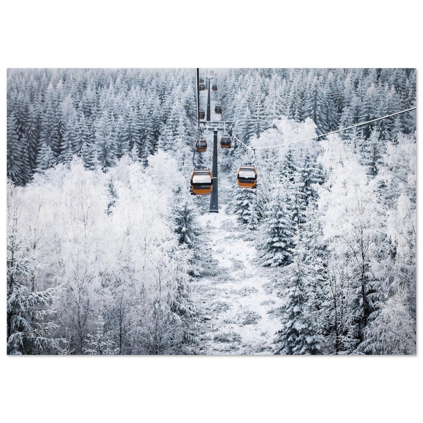 Vente Photo télécabines rouge au milieux de sapins enneigés - Tableau photo alu montagne