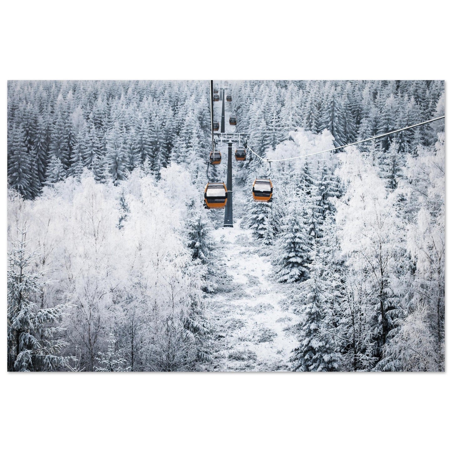 Vente Photo télécabines rouge au milieux de sapins enneigés - Tableau photo alu montagne