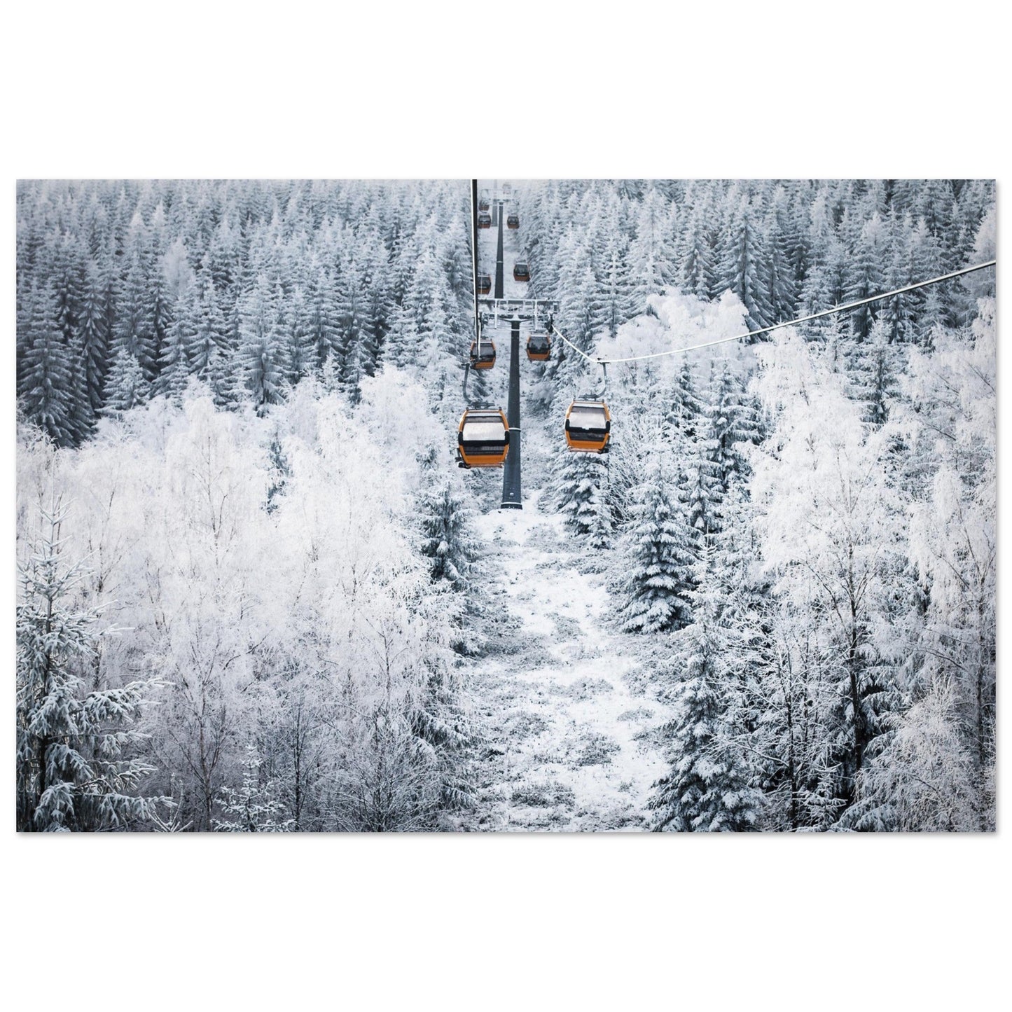 Vente Photo télécabines rouge au milieux de sapins enneigés - Tableau photo alu montagne