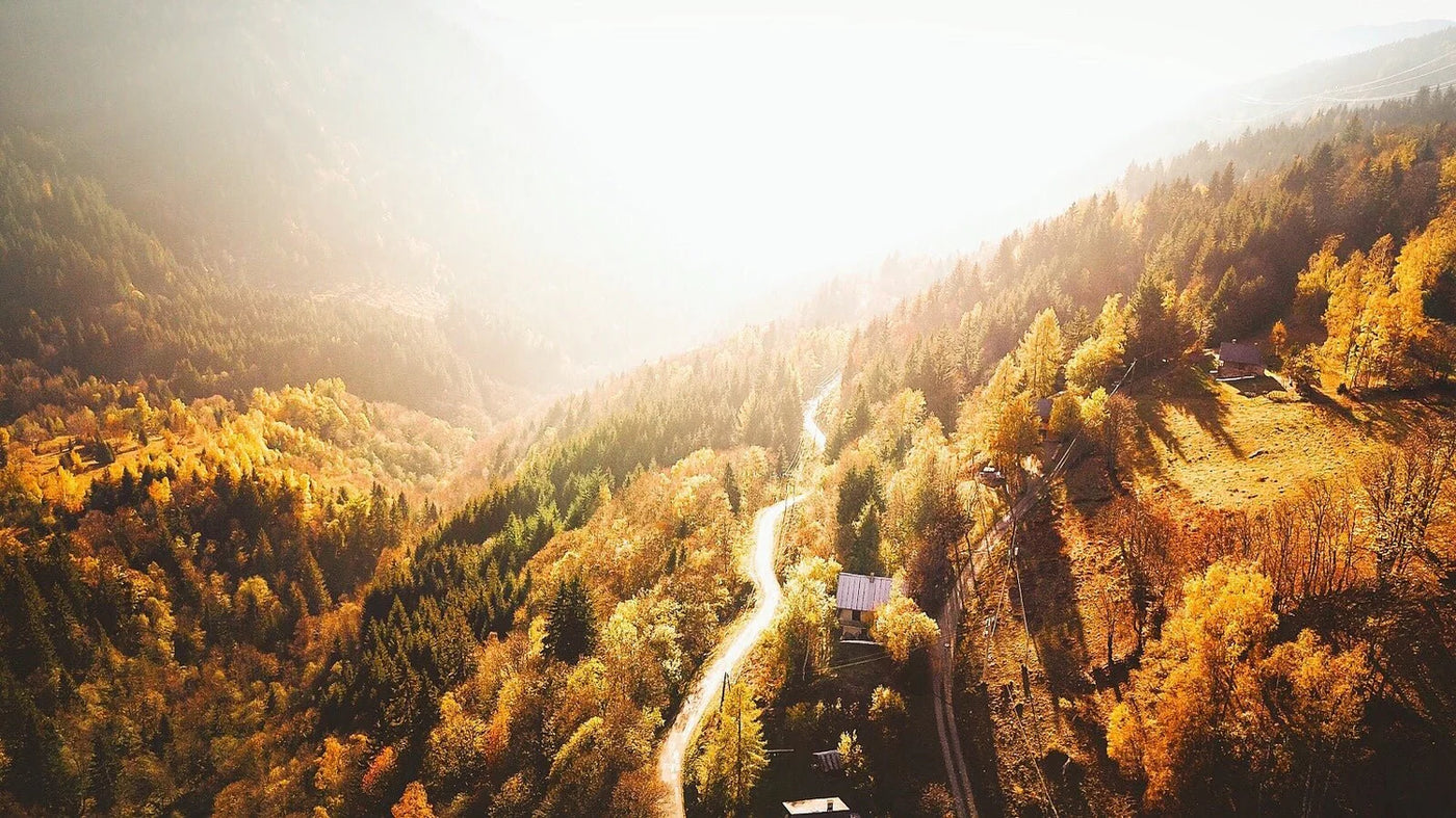 Mélèzes dorés et paysage de montagne dans les Alpes en automne