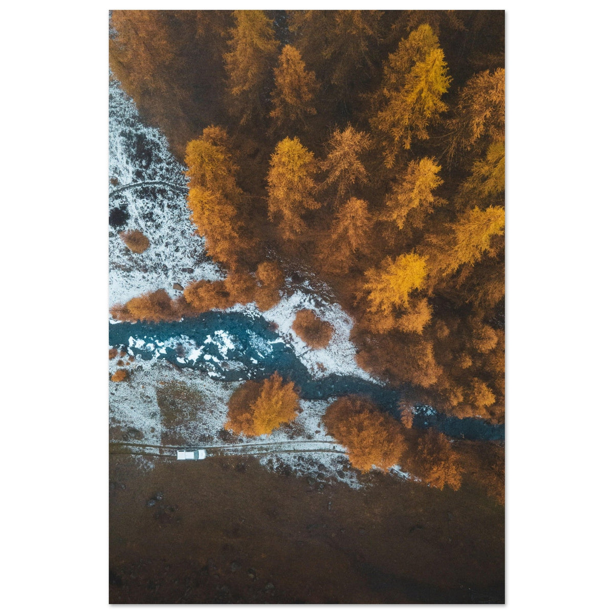 Forêt de conifères et de mélèzes dorés photographiée en automne dans le massif des Écrins