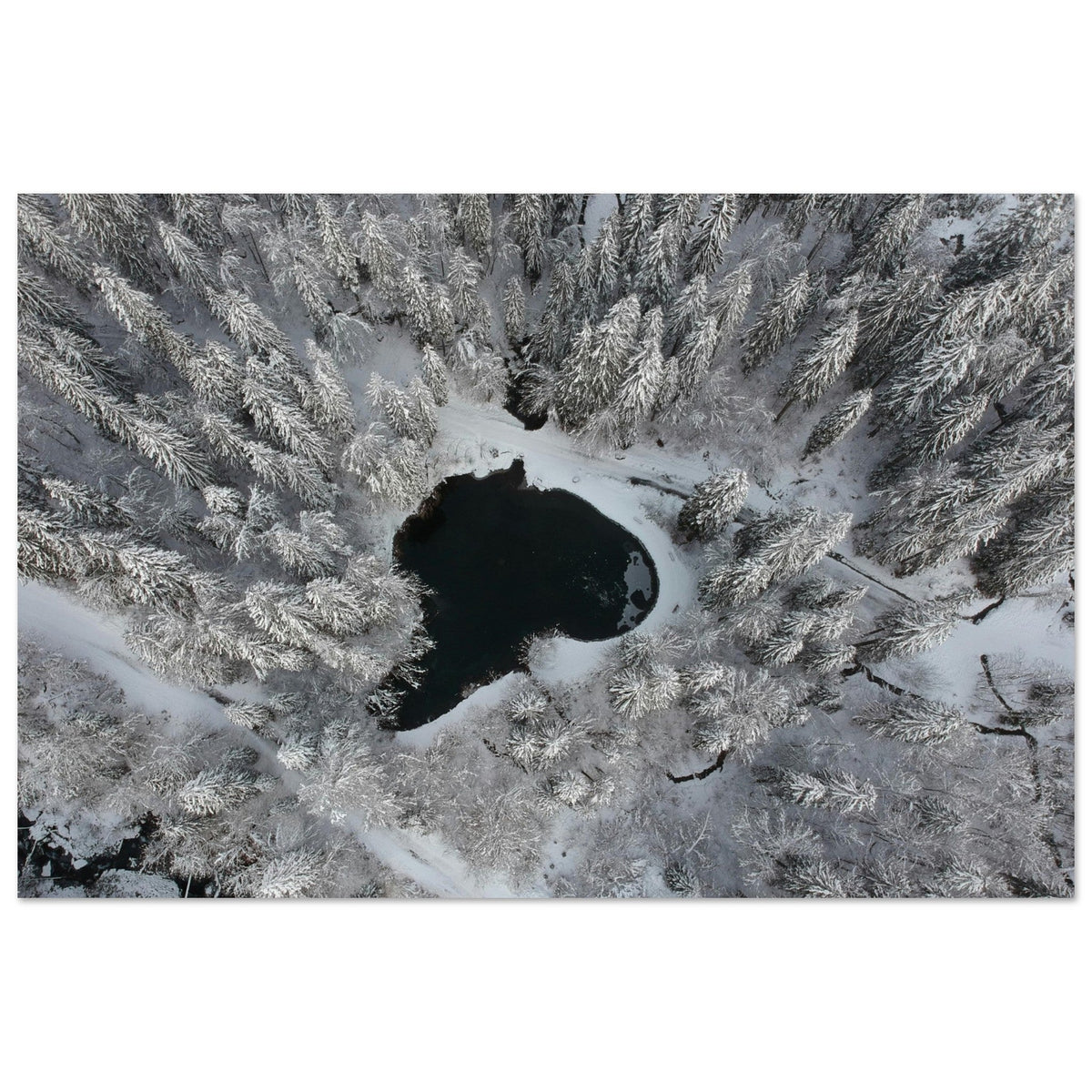 Forêt de sapins enneigés et petit lac dans le cirque du Fer-à-Cheval à Sixt
