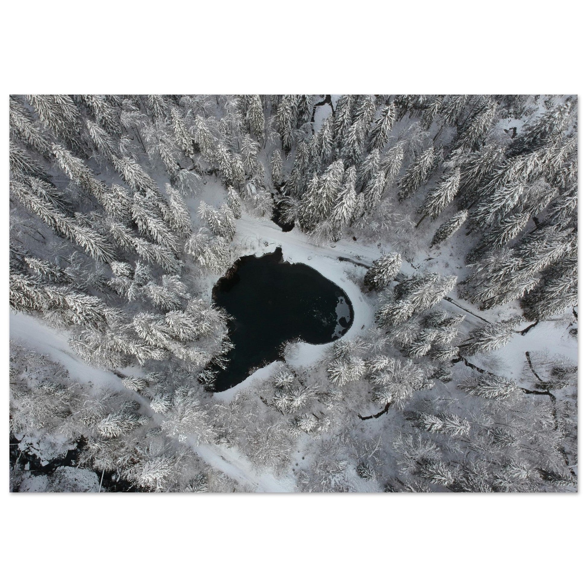 Photo drone de sapins enneigés et lac, Cirque du Fer-à-Cheval - Tableau photo alu montagne