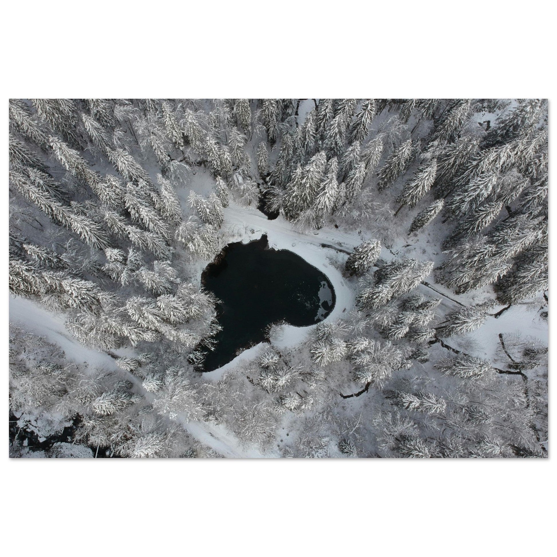 Photo drone de sapins enneigés et lac, Cirque du Fer-à-Cheval - Tableau photo alu montagne