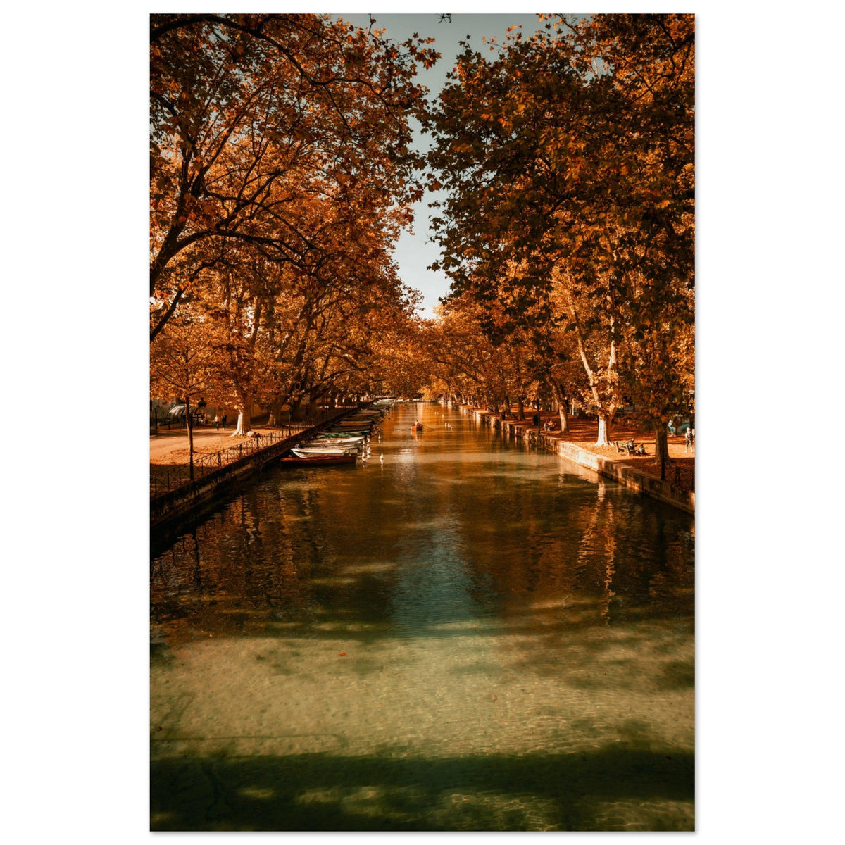 Canal du Vassé bordé de platanes orangés en automne dans le centre d’Annecy