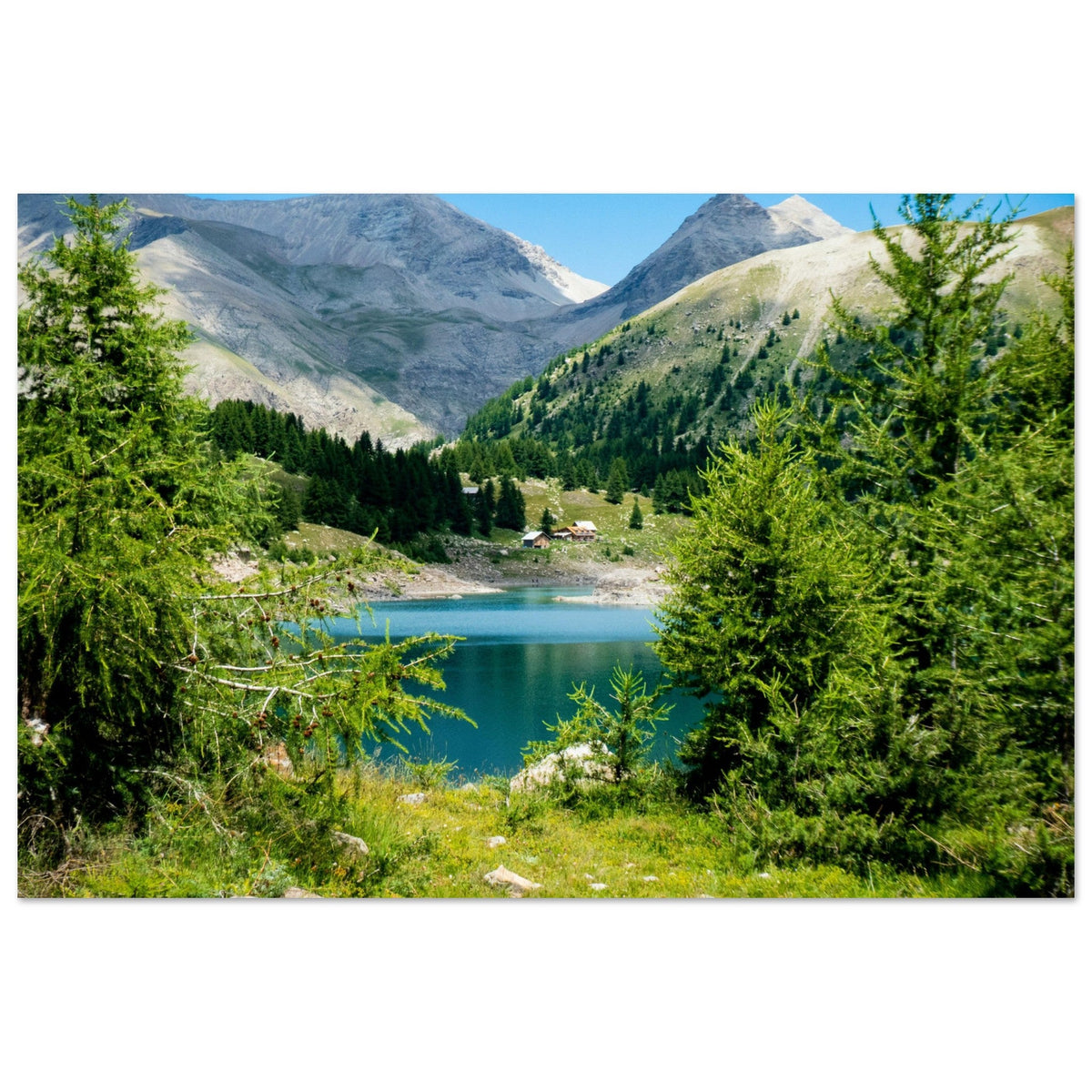 Lac d’Allos entouré d’alpages, de mélèzes et de sommets du Mercantour