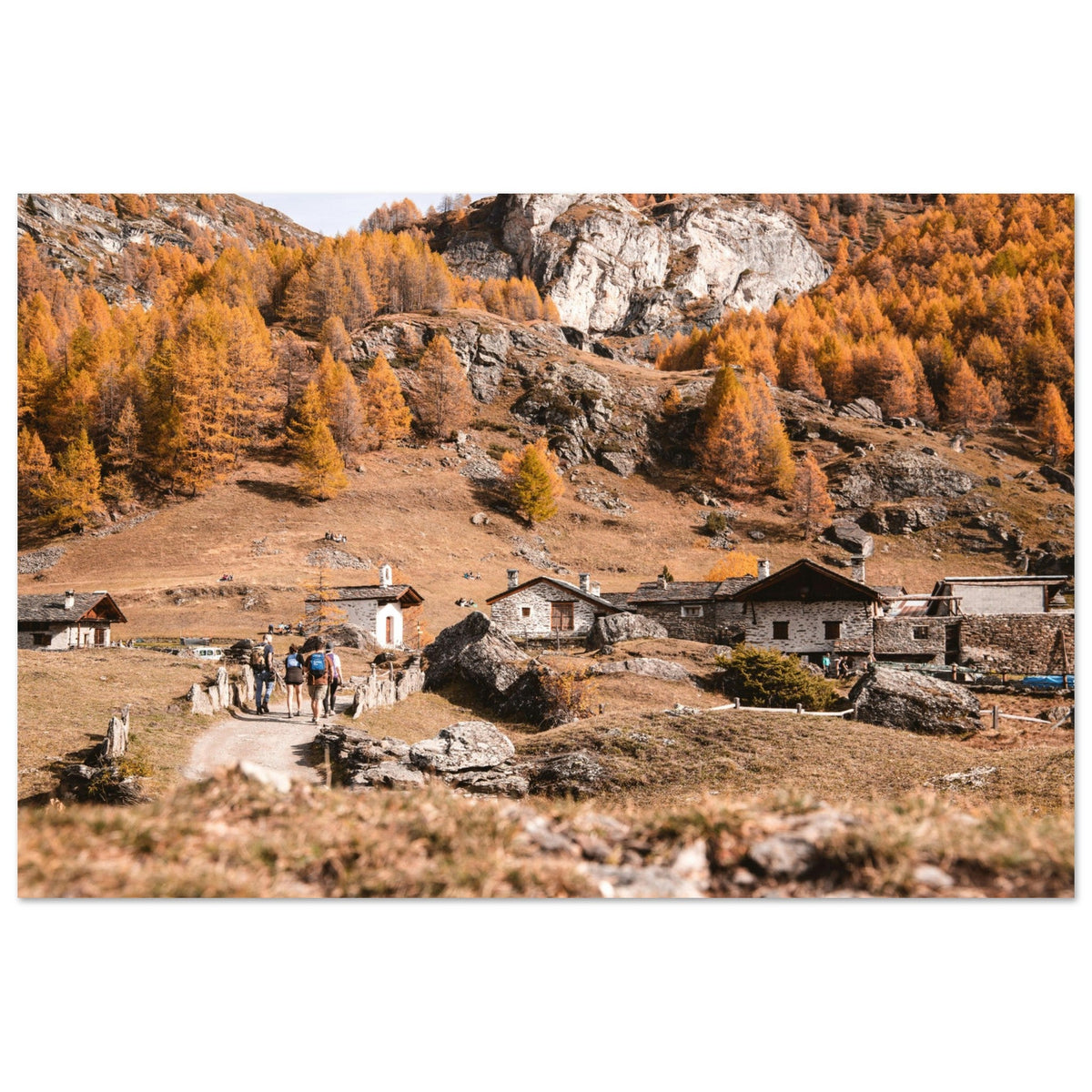 Hameau du Monal entouré de mélèzes dorés en automne à Sainte-Foy-Tarentaise