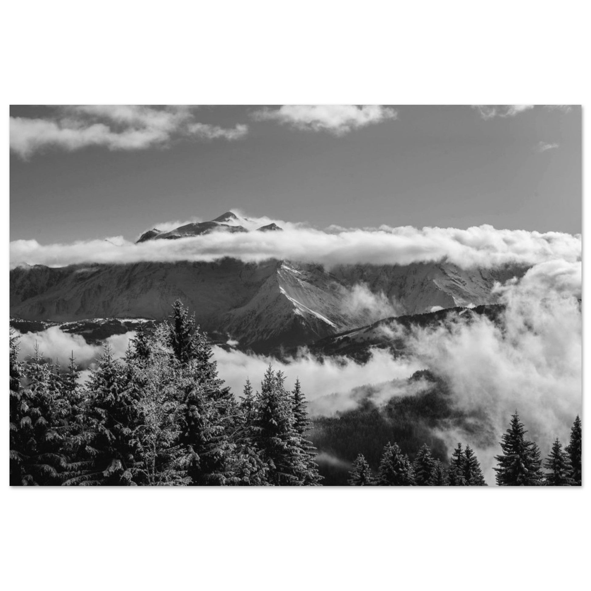 Photo du Mont-Blanc et sapins enneigés - Noir & Blanc - Tableau photo alu montagne