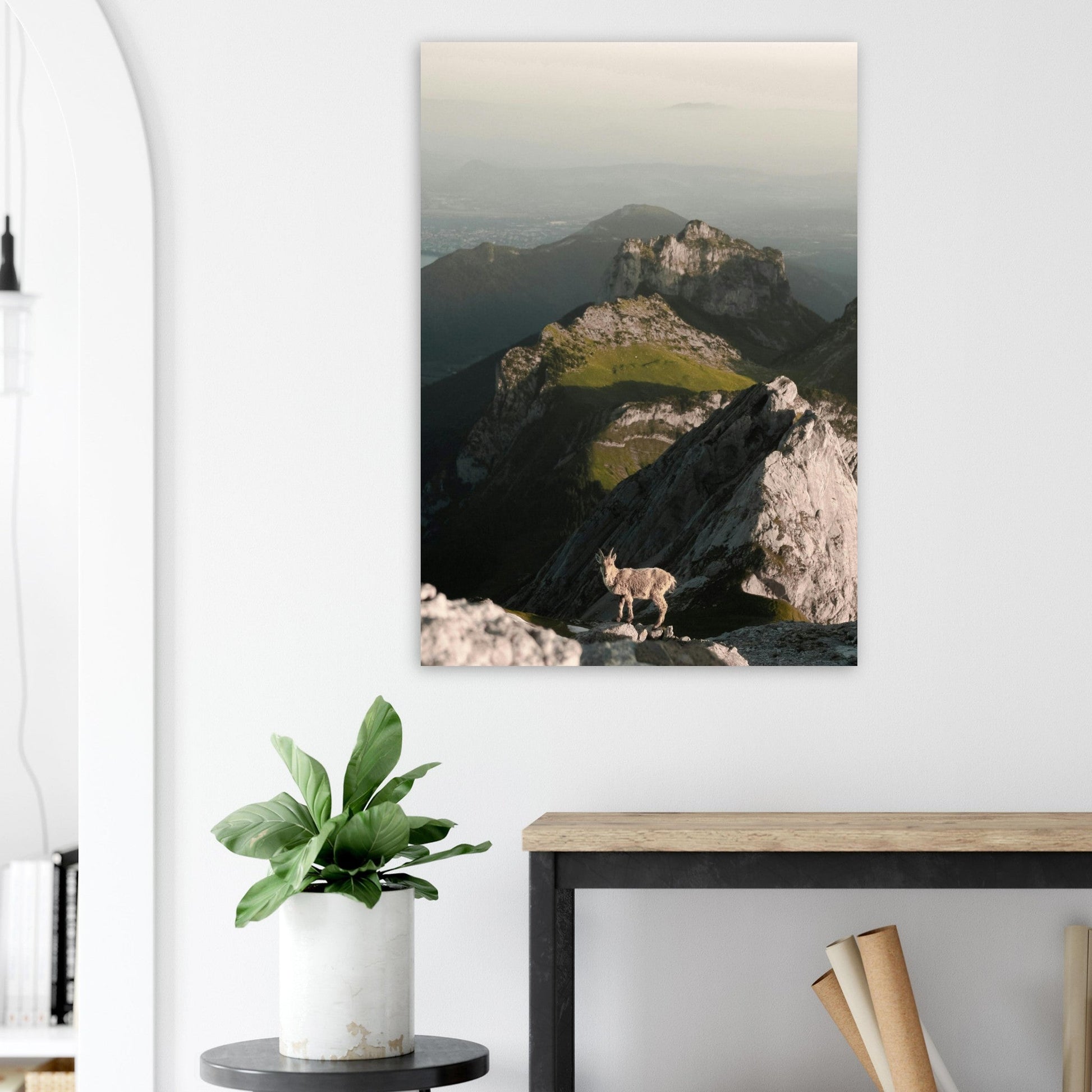 Photo d'un bouquetin sur les hauteurs d'Annecy - Tableau photo alu montagne