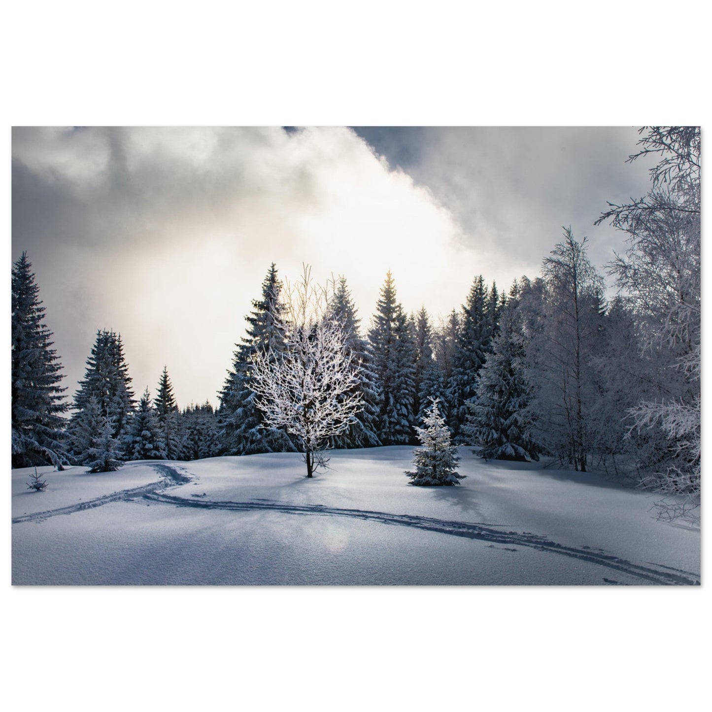 Photo d'un moment magique en hiver - Tableau photo alu montagne