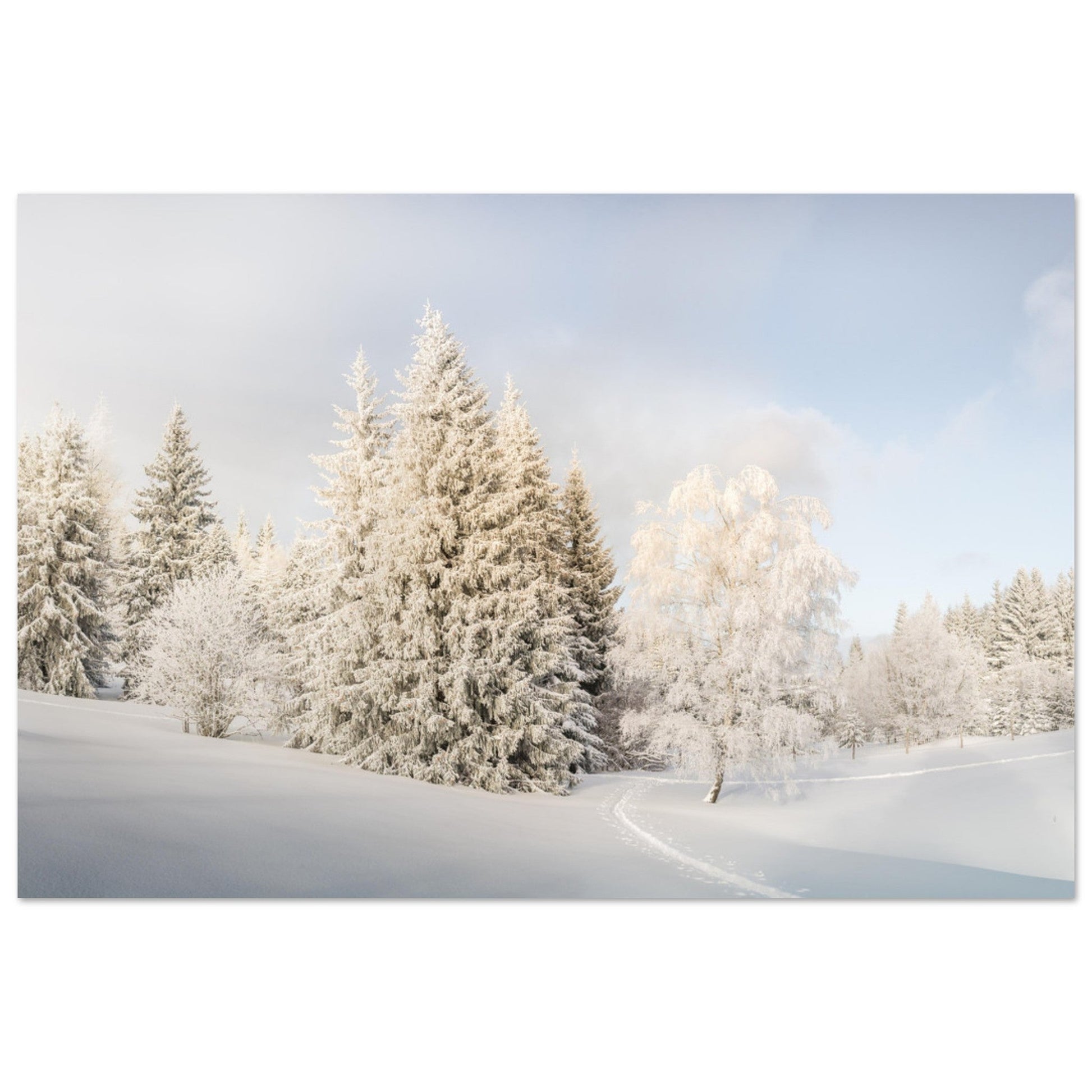 Photo d'un paradis Blanc à la Féclaz, Savoie - Tableau photo alu montagne