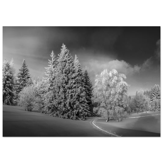 Photo d'un paradis Blanc à la Féclaz, Savoie - Noir & Blanc - Tableau photo alu montagne